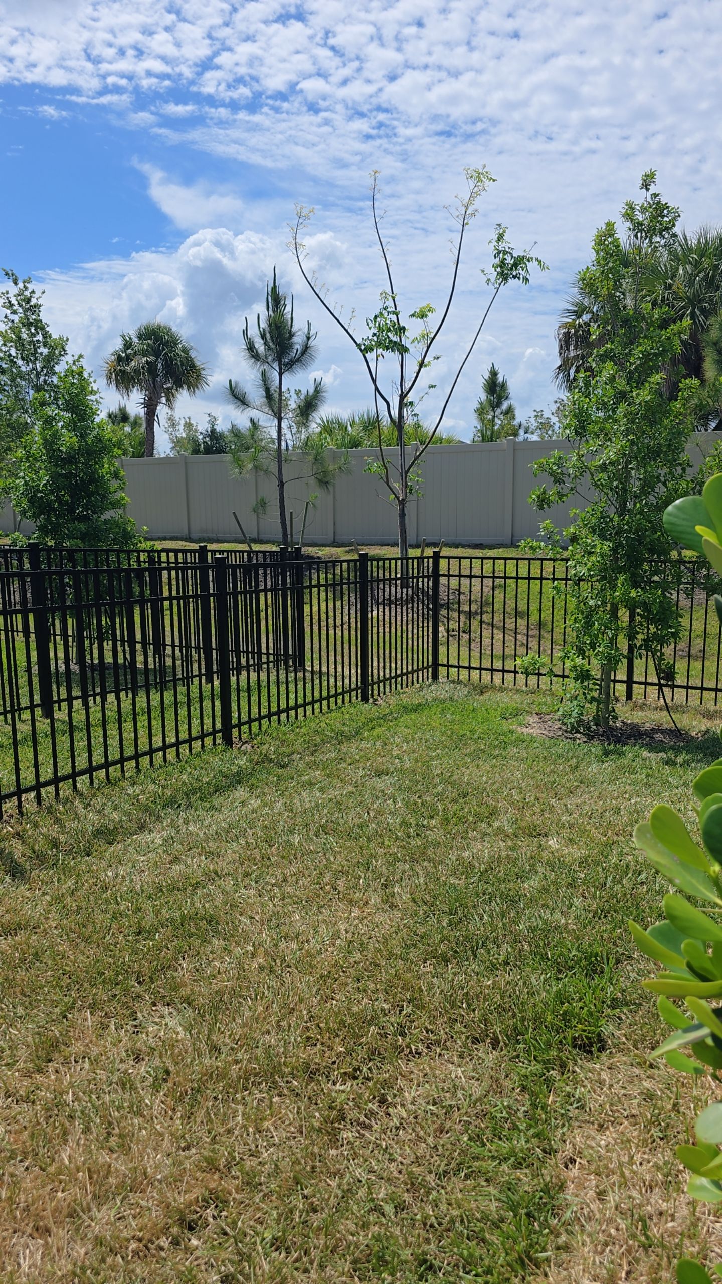 Aluminum Fence in The Cove at West Port by True Fence LLC