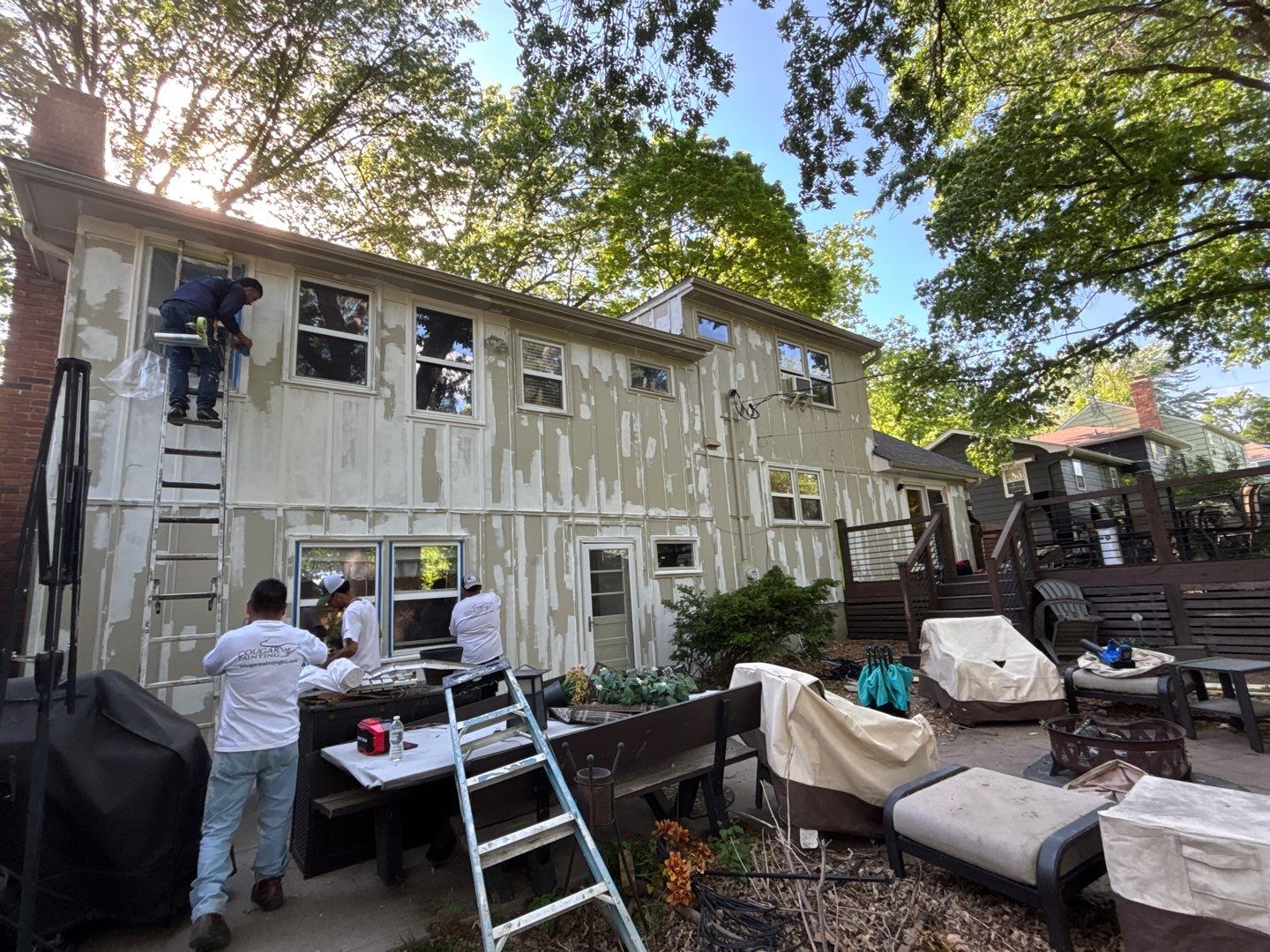 From Brown to Bold – Shade-Grown Refresh! by Cougar Painting