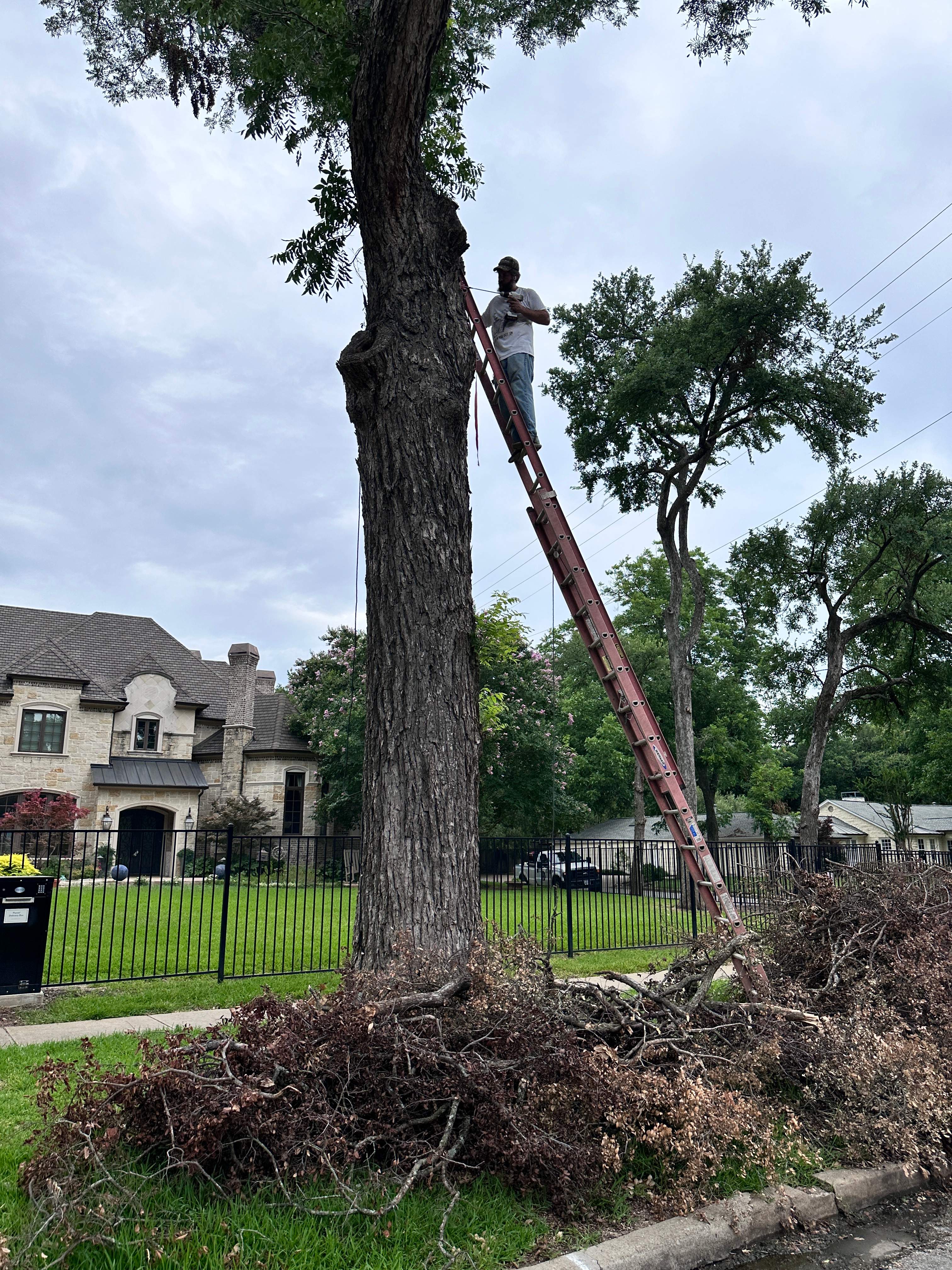 Smile! by Rockwall Honey Bee Company