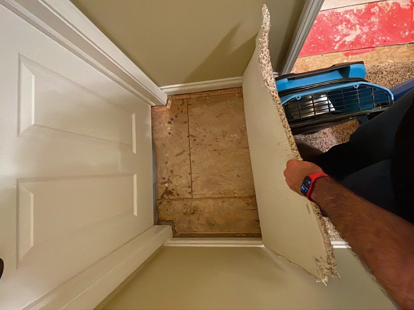 Project in Novi by EzDry Water Mitigation & Property Restoration