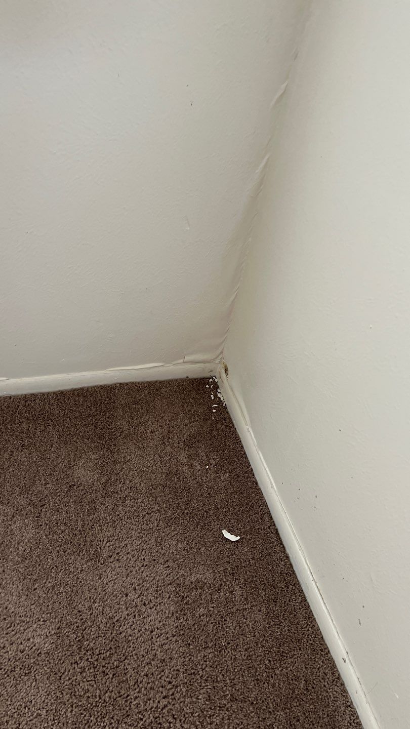 Water Damage  by Accountable Home Services