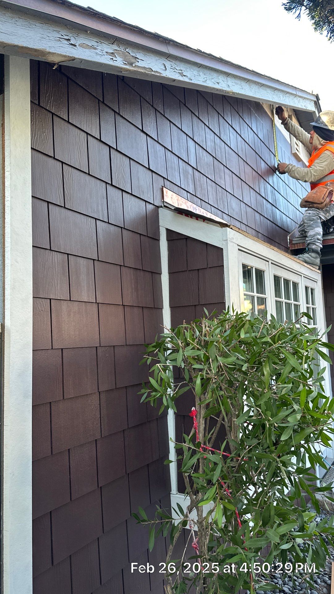 Pre-finish shingles by New Era Siding Inc 