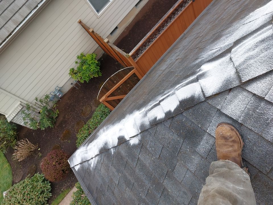 Roof Cleaning  using Moss Treatment  by BEST Roofing & Waterproofing