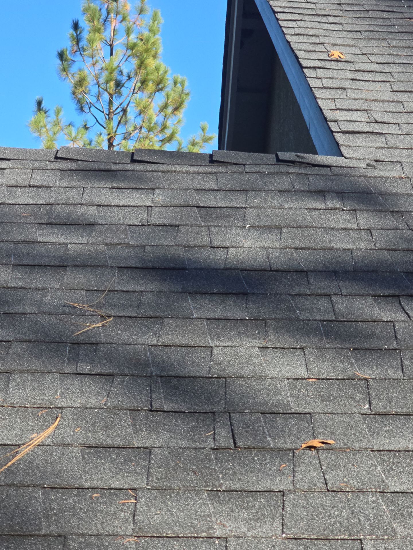 Roof Rejuvenation using Roof Maxx Treatment by Roof Maxx of Folsom