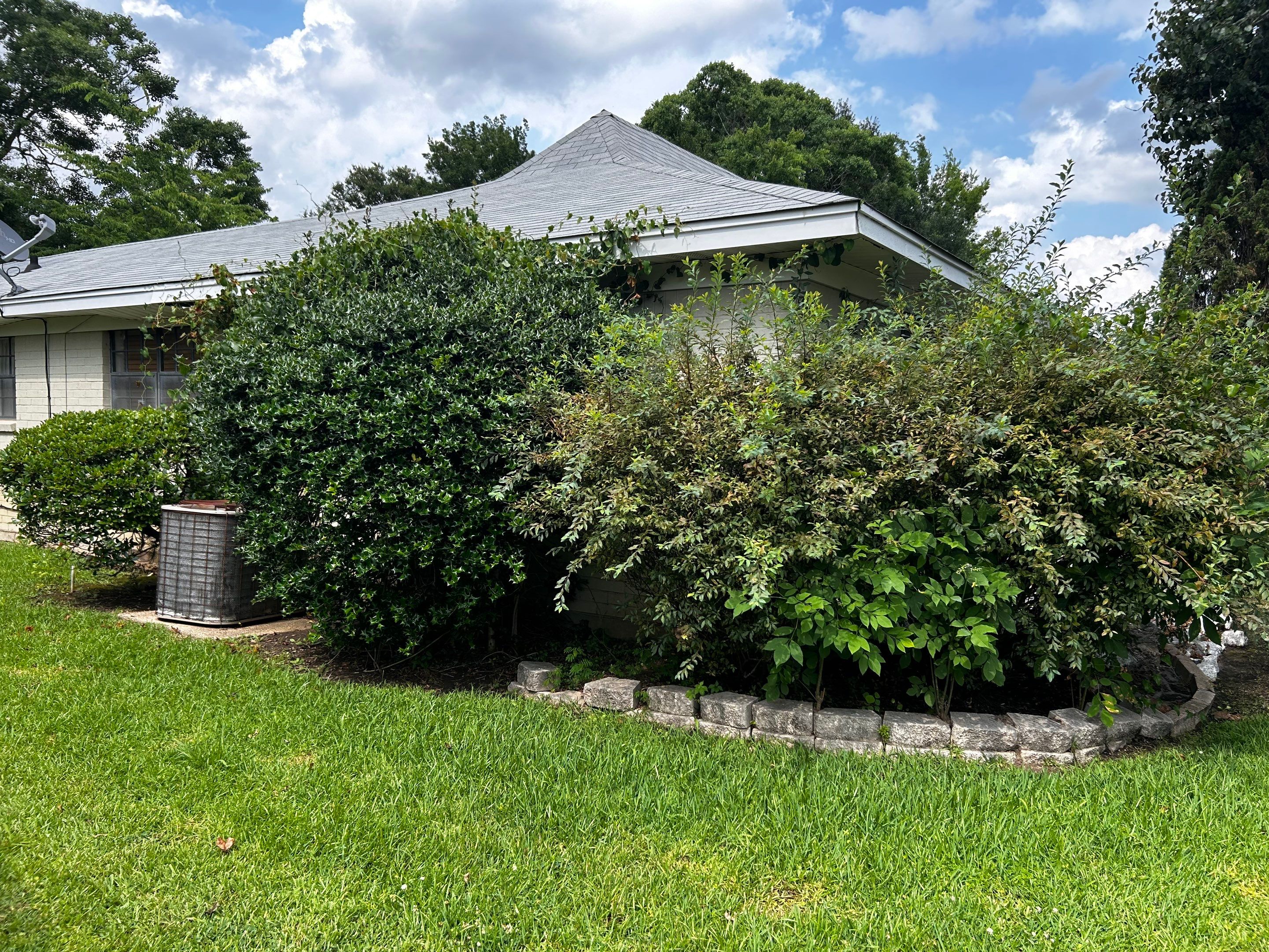 Tree And Hedge Trimming by College Bros Outdoor services