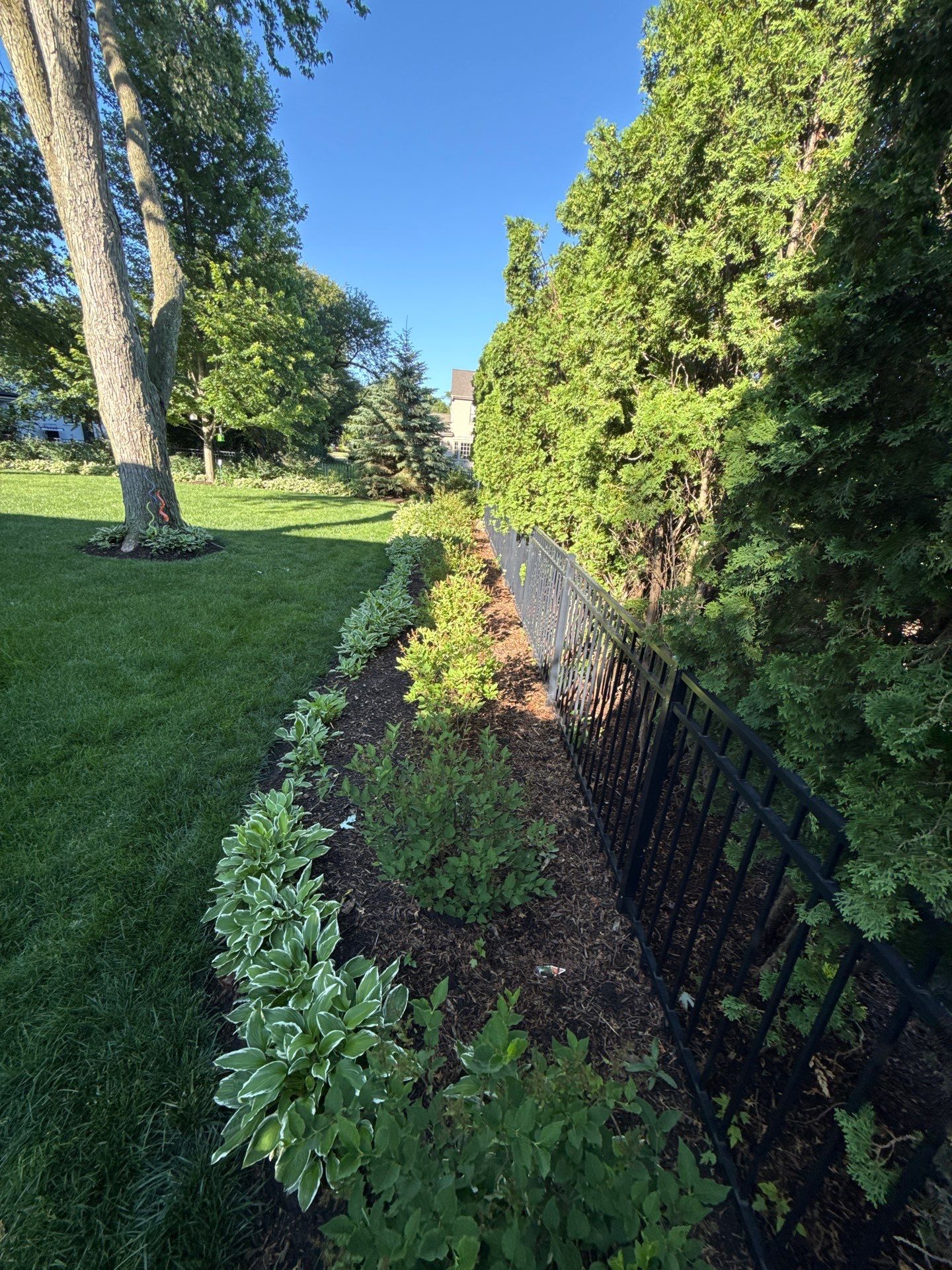 Lesley D. - Arlington Heights, IL by A&N 