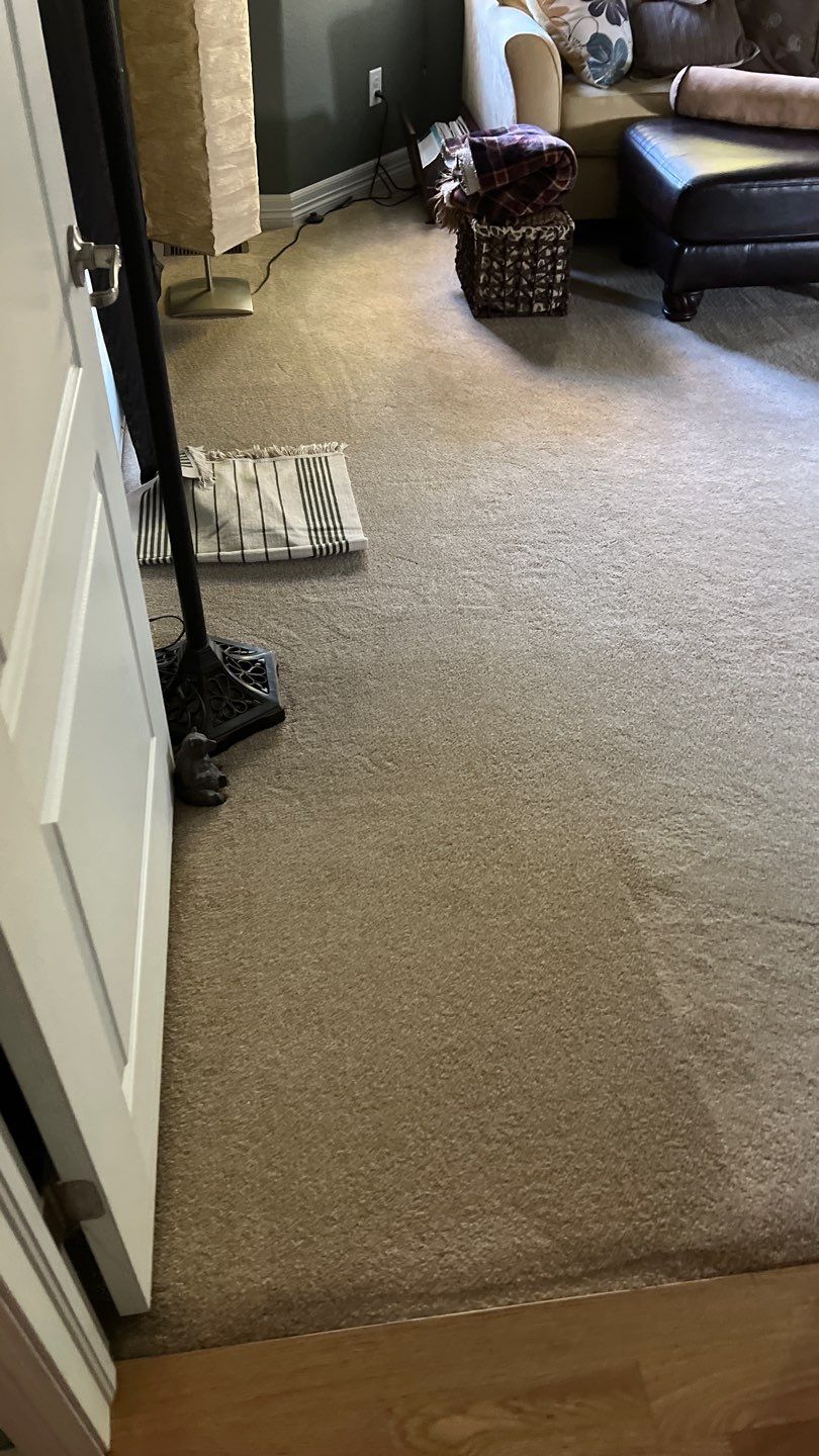 Mold Remediation by Accountable Home Services