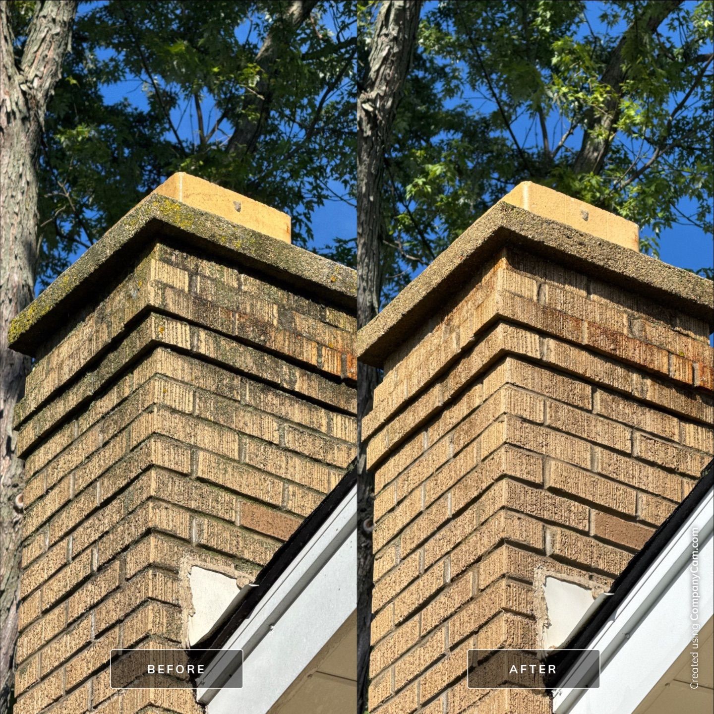 Project in Palatine by Simmons Power & Soft Washing