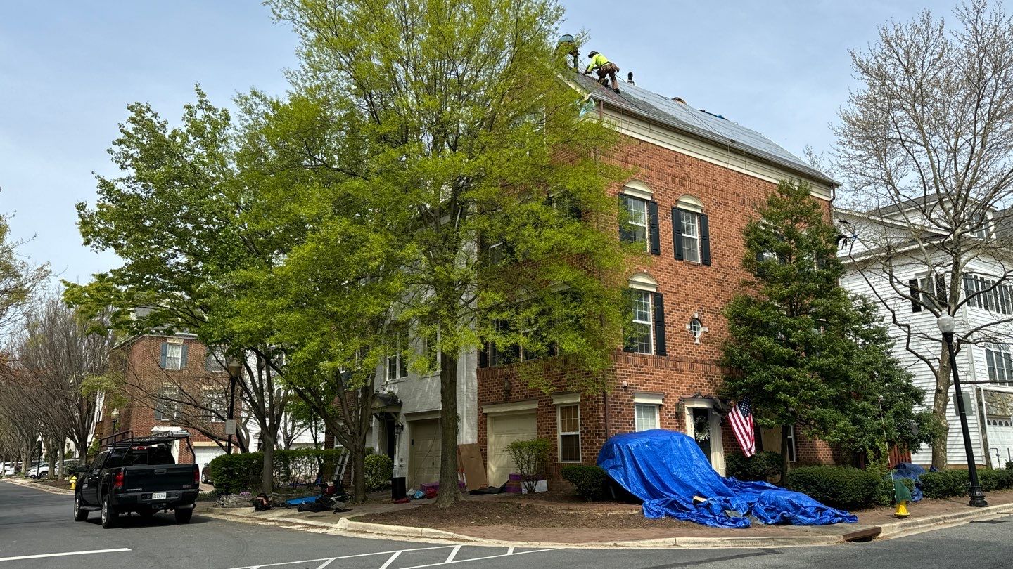 Alexandria: CertainTeed Landmark Pro Designer Shingles in Max Def Georgetown Gray by RM Banning, Inc.