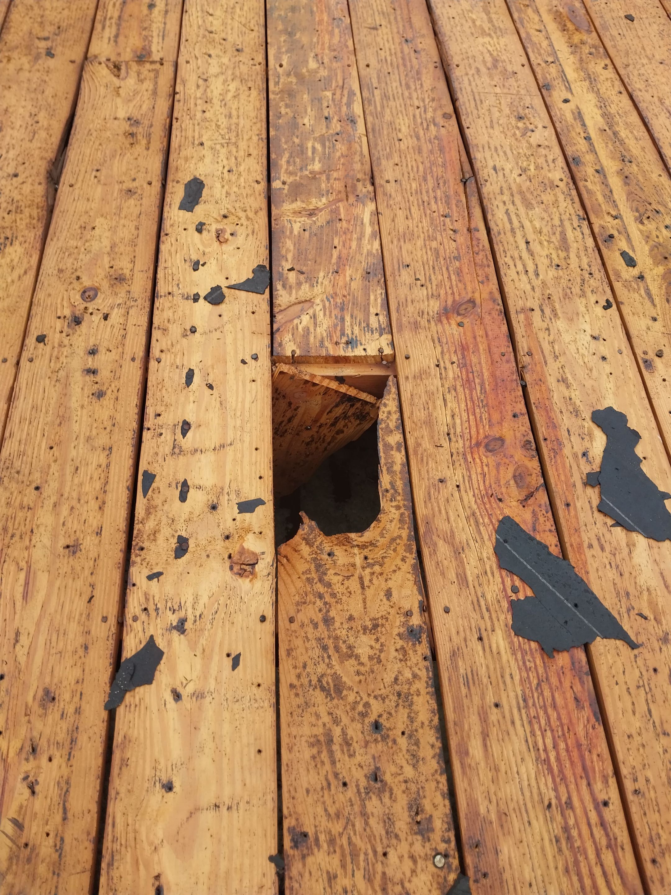 Project in St. Petersburg by Mitchell Roofing Company LLC 