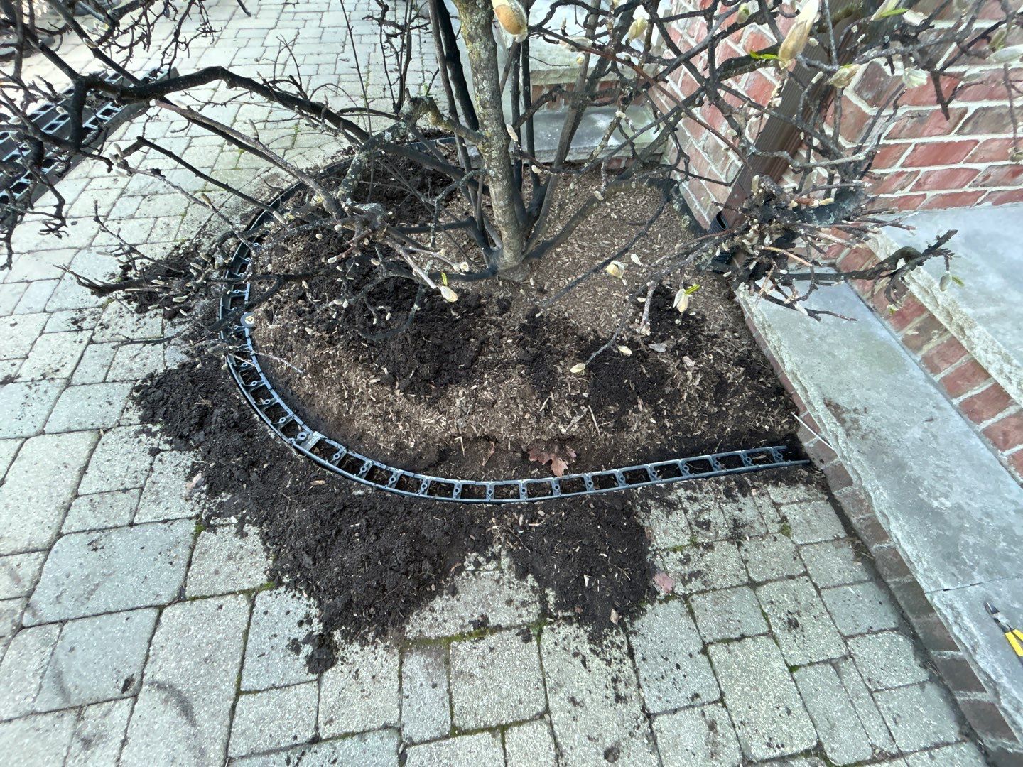 Brick paver repair, cleaning sanding and sealing by Northern Power Washing LLC.