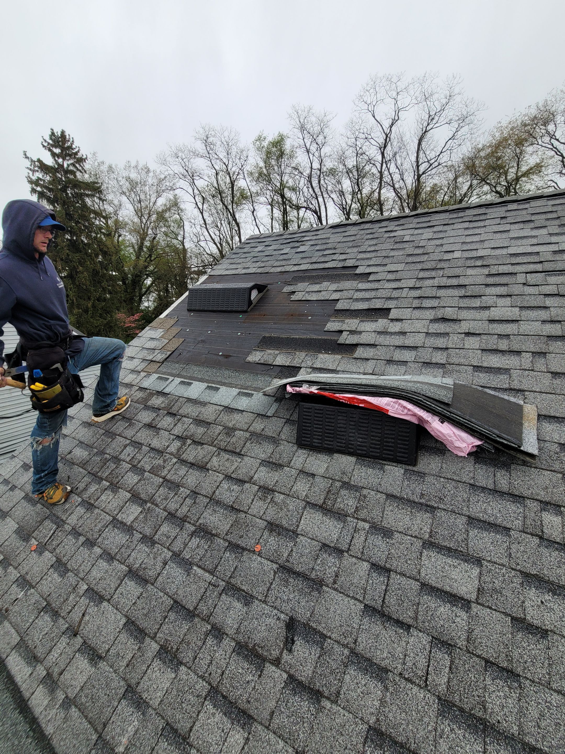 Regina Willis by Silver Leaf Contracting 