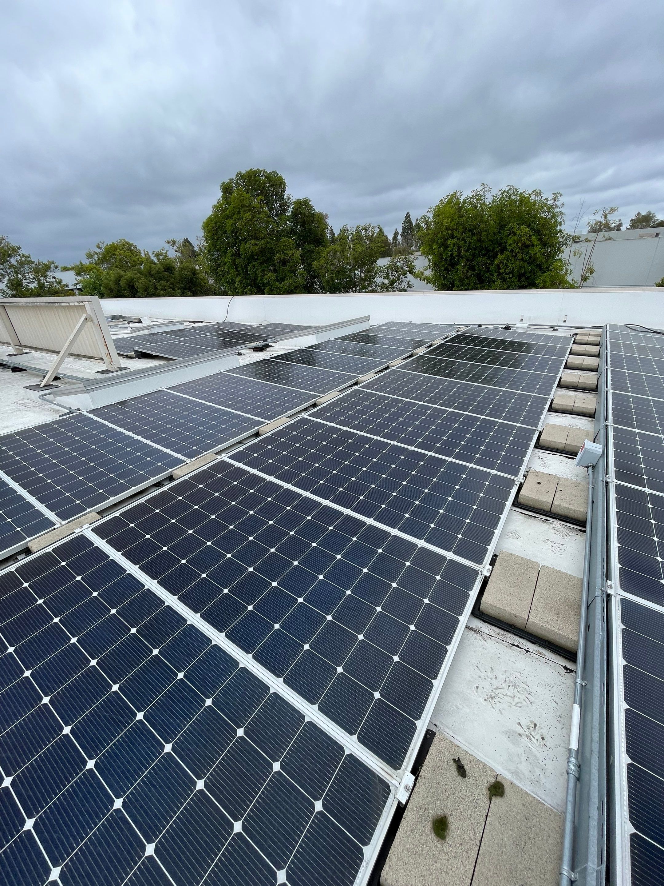 Commercial Solar Cleaning by Palm Coast Solar Cleaning