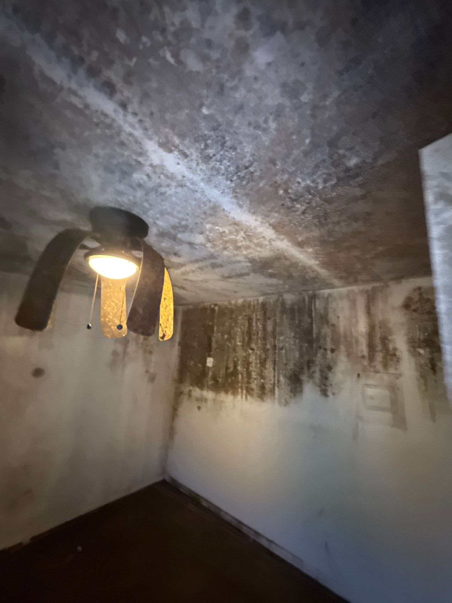 The Slate by Disaster Recovery Consultants