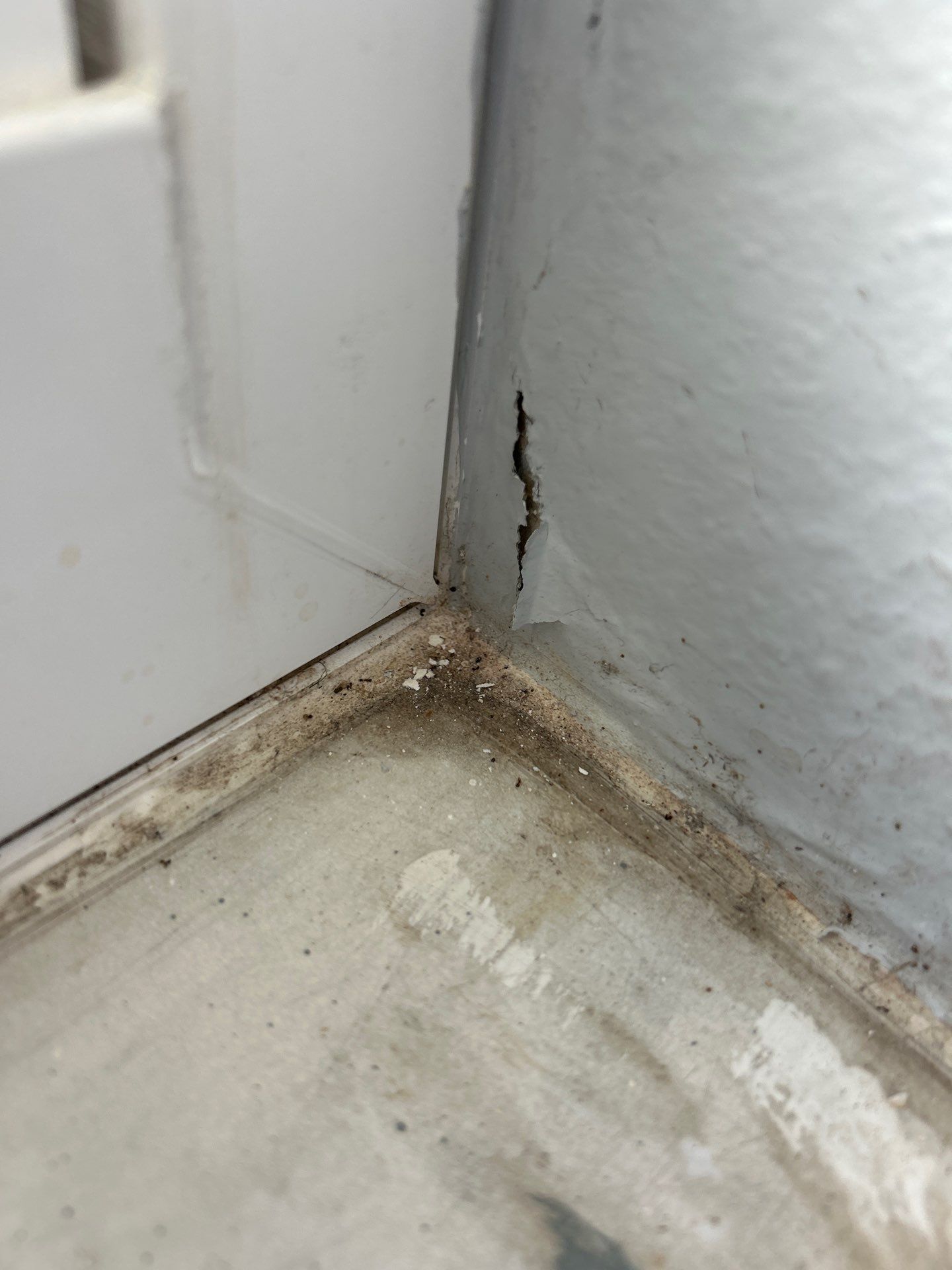 Commercial Water Damage Restoration by Ampm Restoration Services
