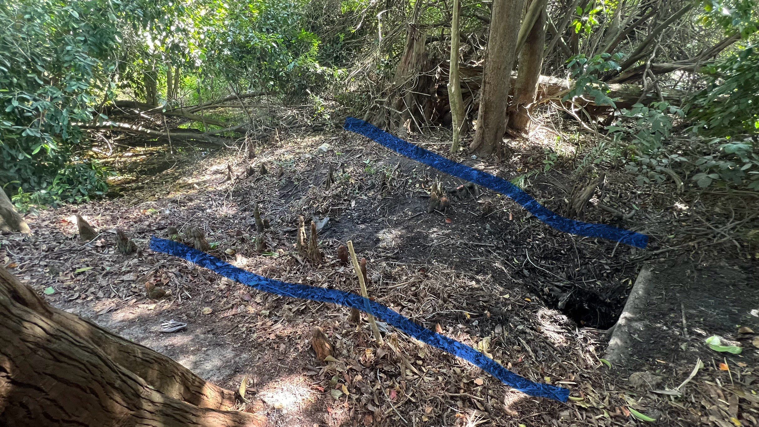 Naples Community Storm Water System Maintenance by APS Power & Water