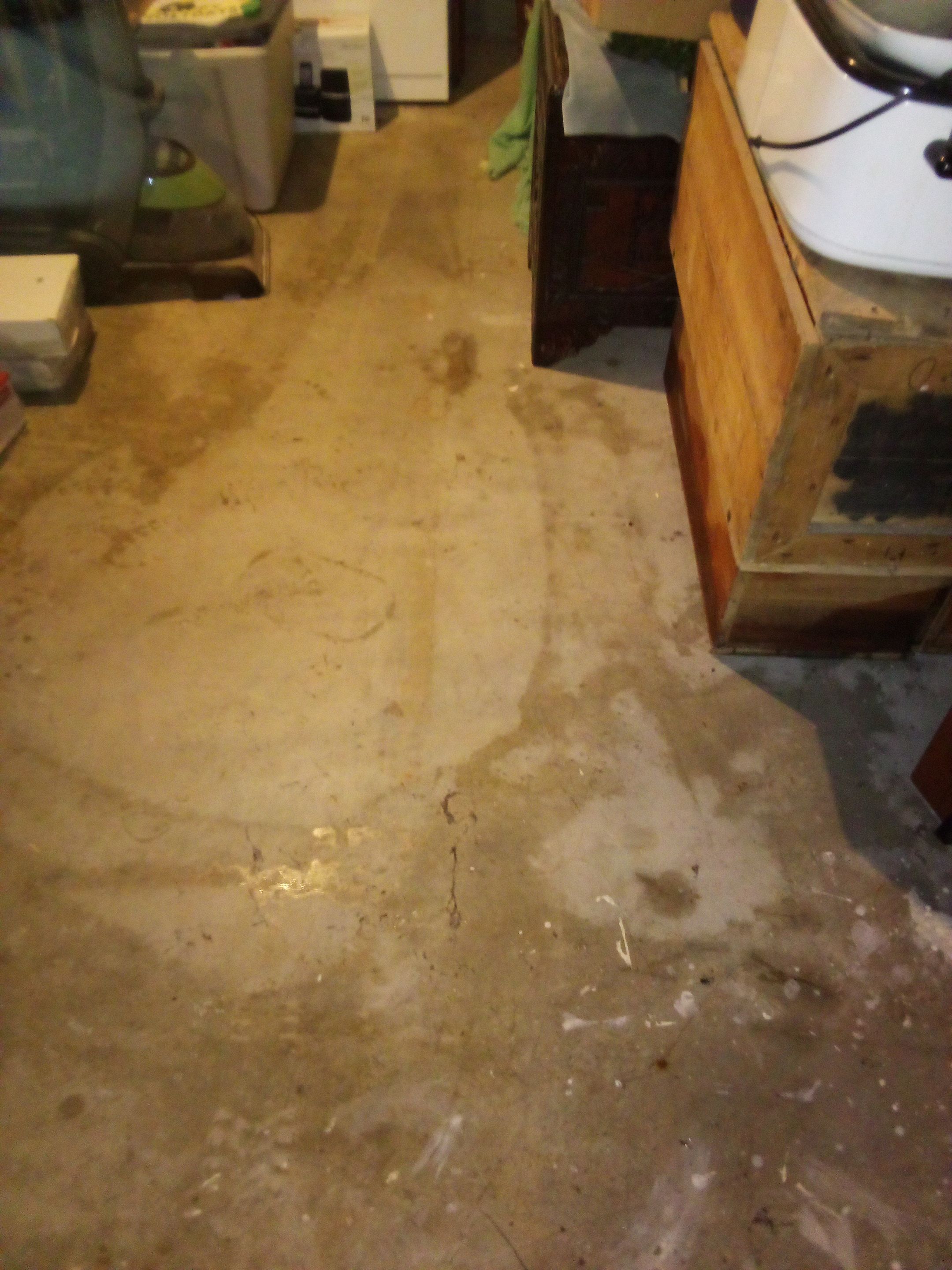 Sewage Backup in Prospect, KY by ANR Restoration