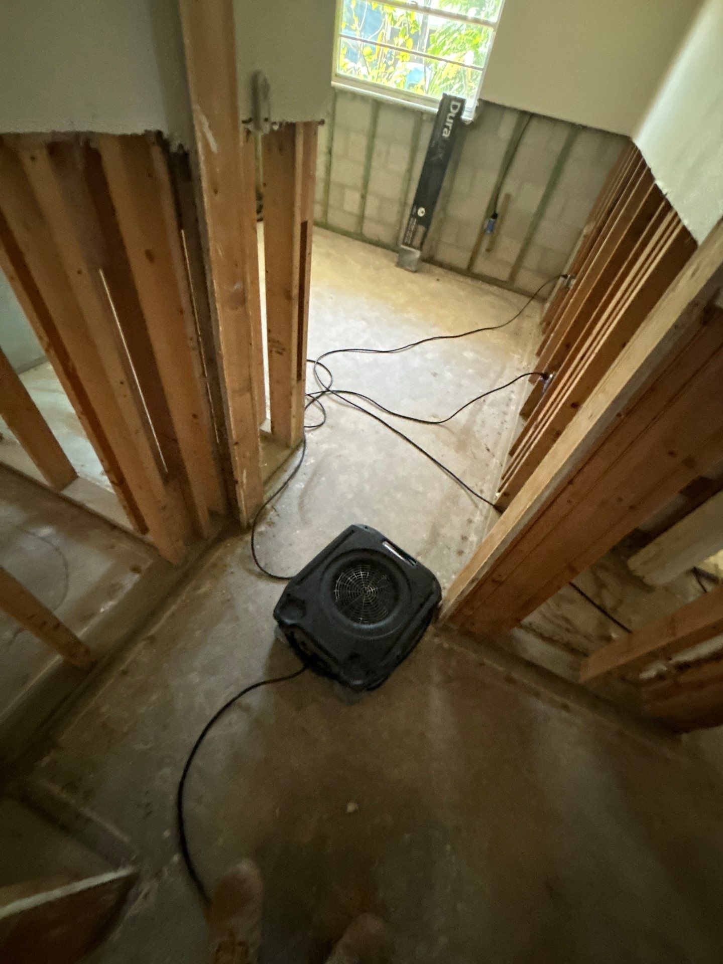 Water Mitigation by Ampm Restoration Services 
