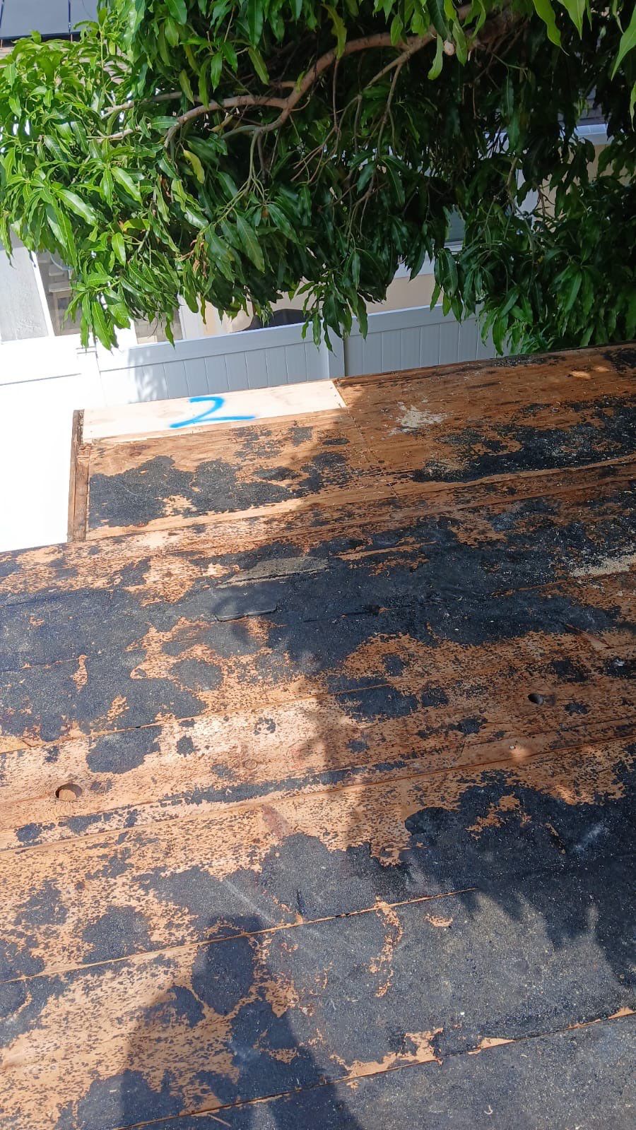 Project in Largo 33774 by Mitchell Roofing Company LLC 