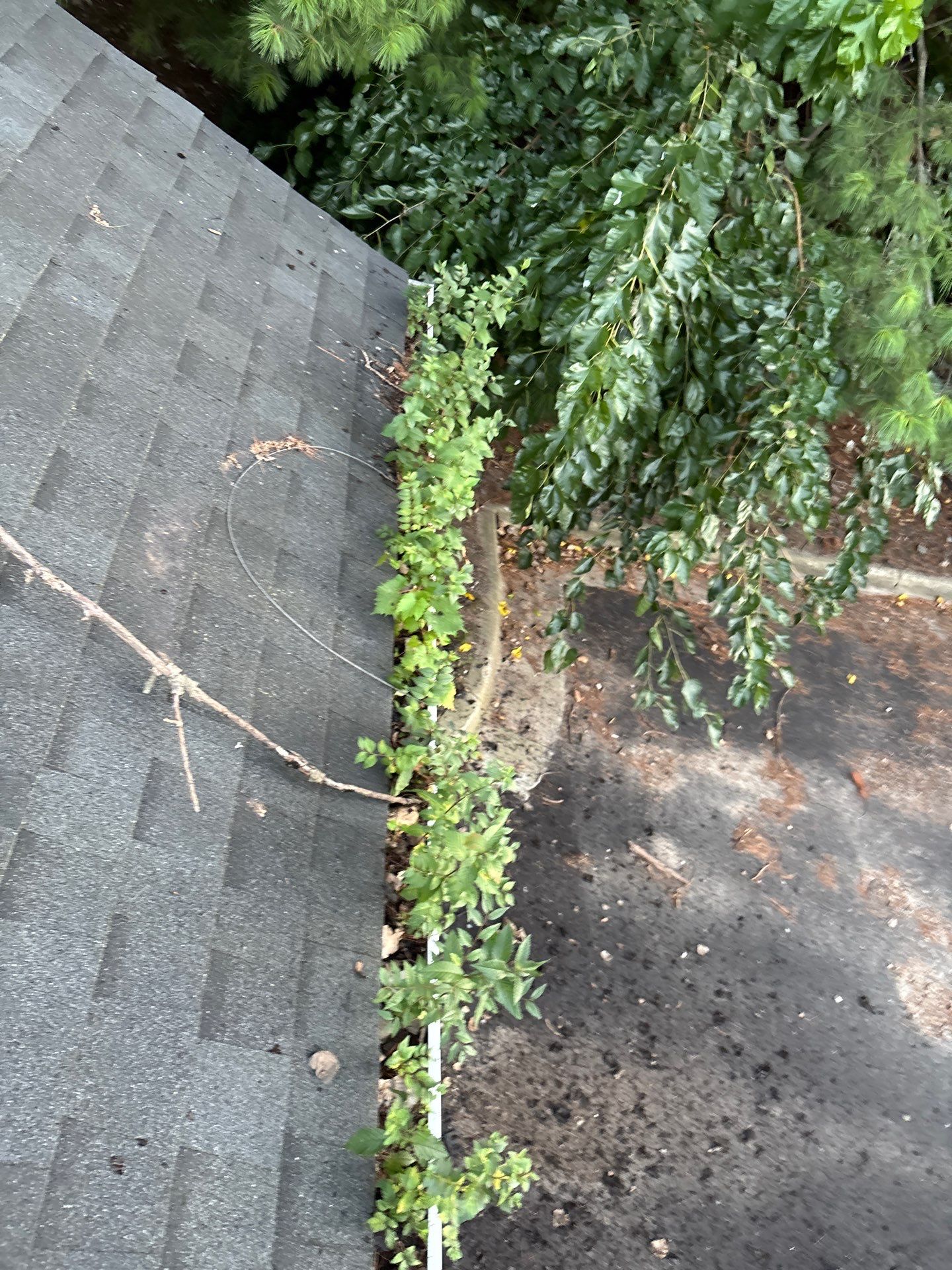 Commercial gutter cleaning Des Moines before photo with filled gutters