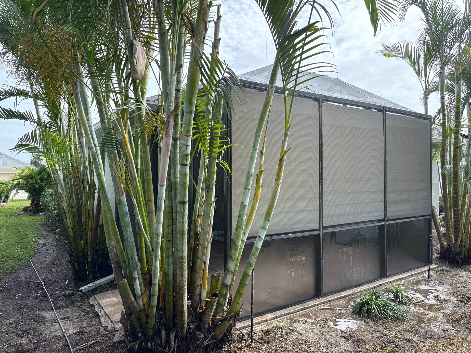 Pre-Sale Exterior Cleaning – Forest Creek Community, Parrish, FL by Sunshine AquaWash