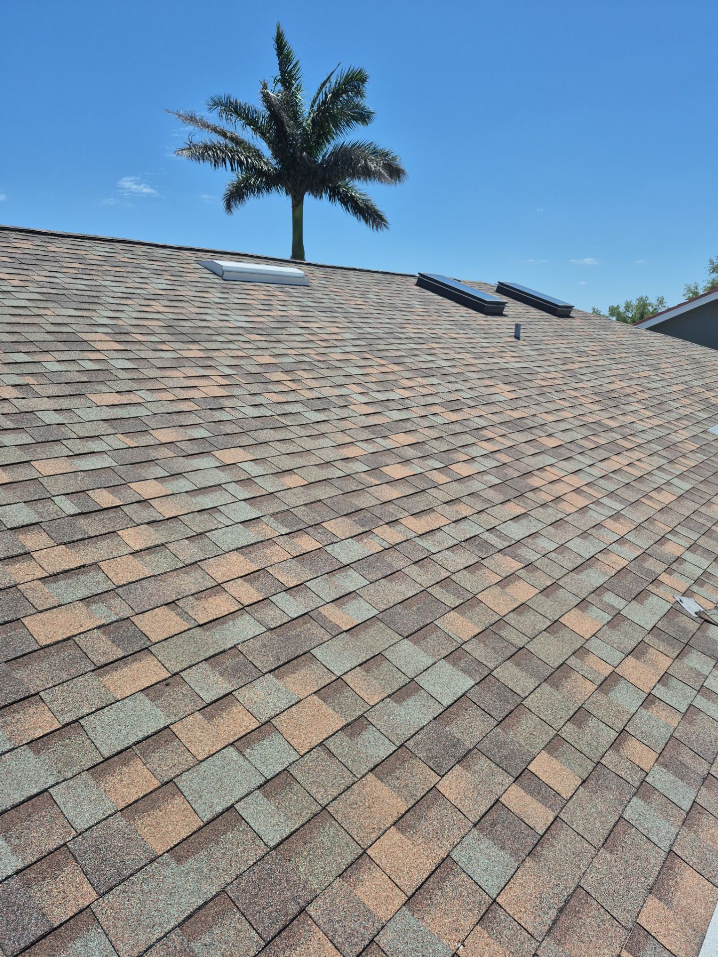 Project in St. Petersburg 33715 by Mitchell Roofing Company LLC 