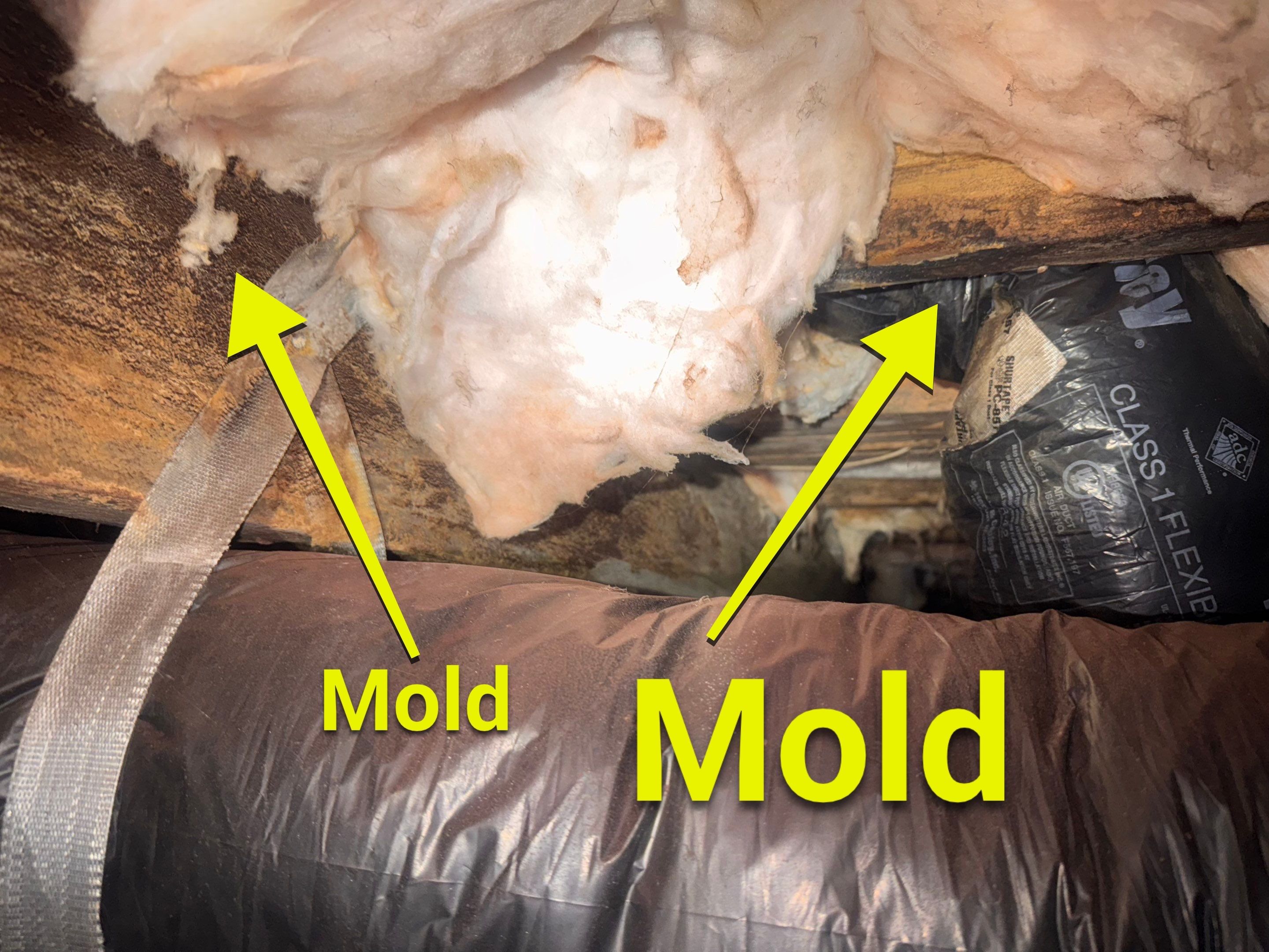 Moisture Barrier, Mold Clean, Structural Repair, Dehumidifier, R19 Insulation. by Impact Crawlspace