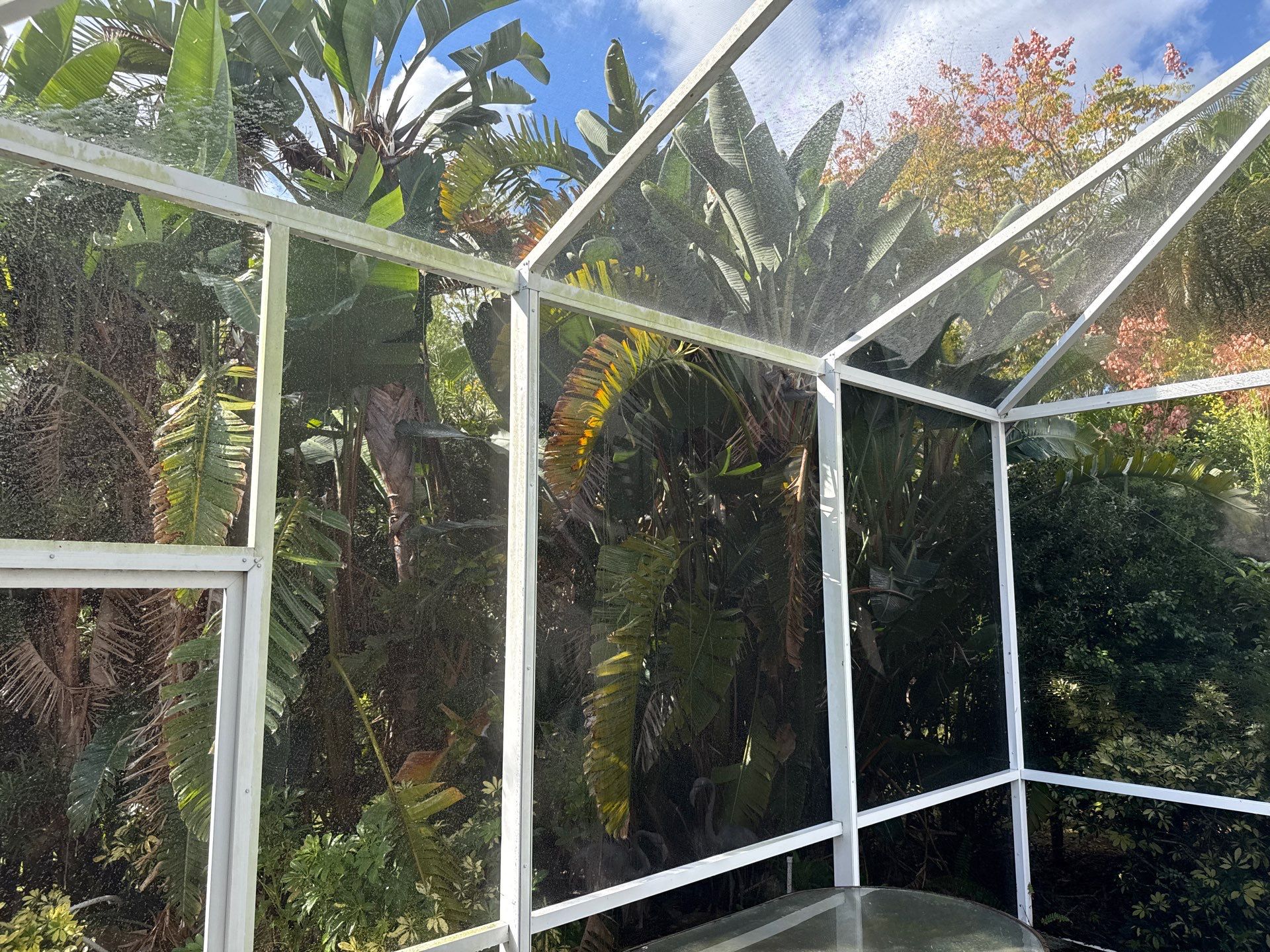 Paver Pool Deck & Screen Enclosure Transformation | University Park, Sarasota FL by Sunshine AquaWash