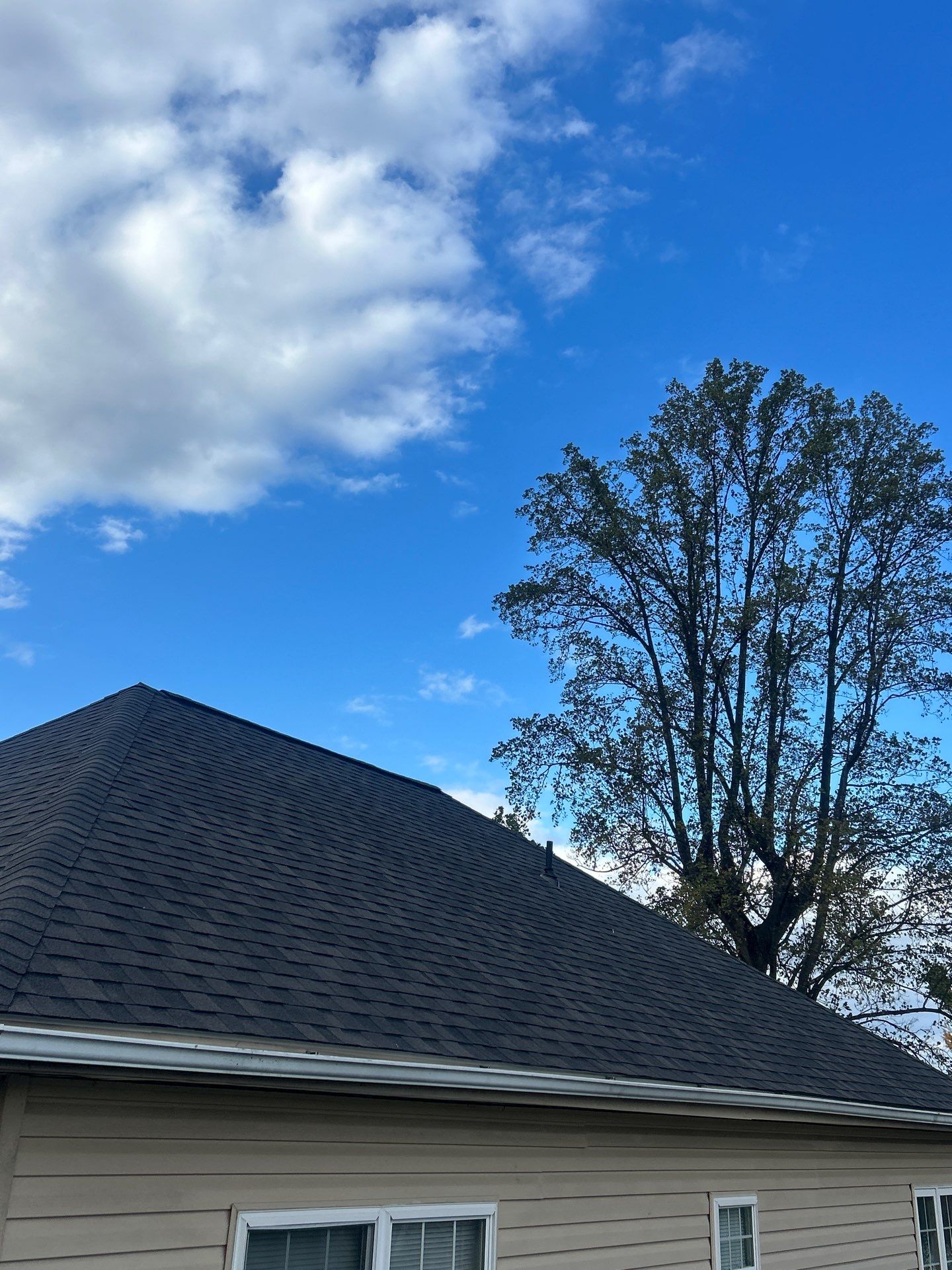 Springfield : Residential Roof Replacement with CertainTeed Landmark Pro in Max Def Expresso  by RM Banning, Inc.