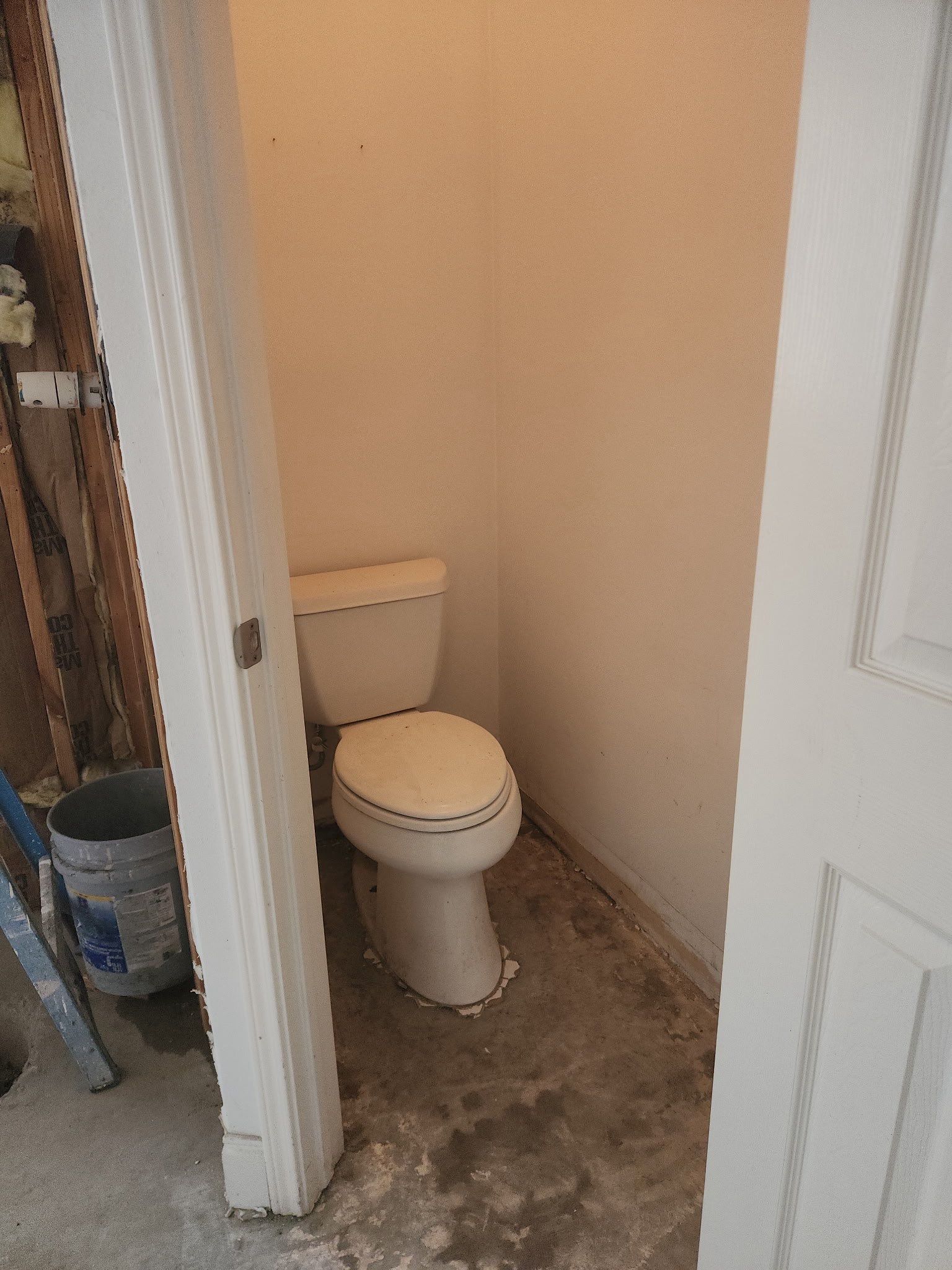 The Cordova Family by SophAlx LLC