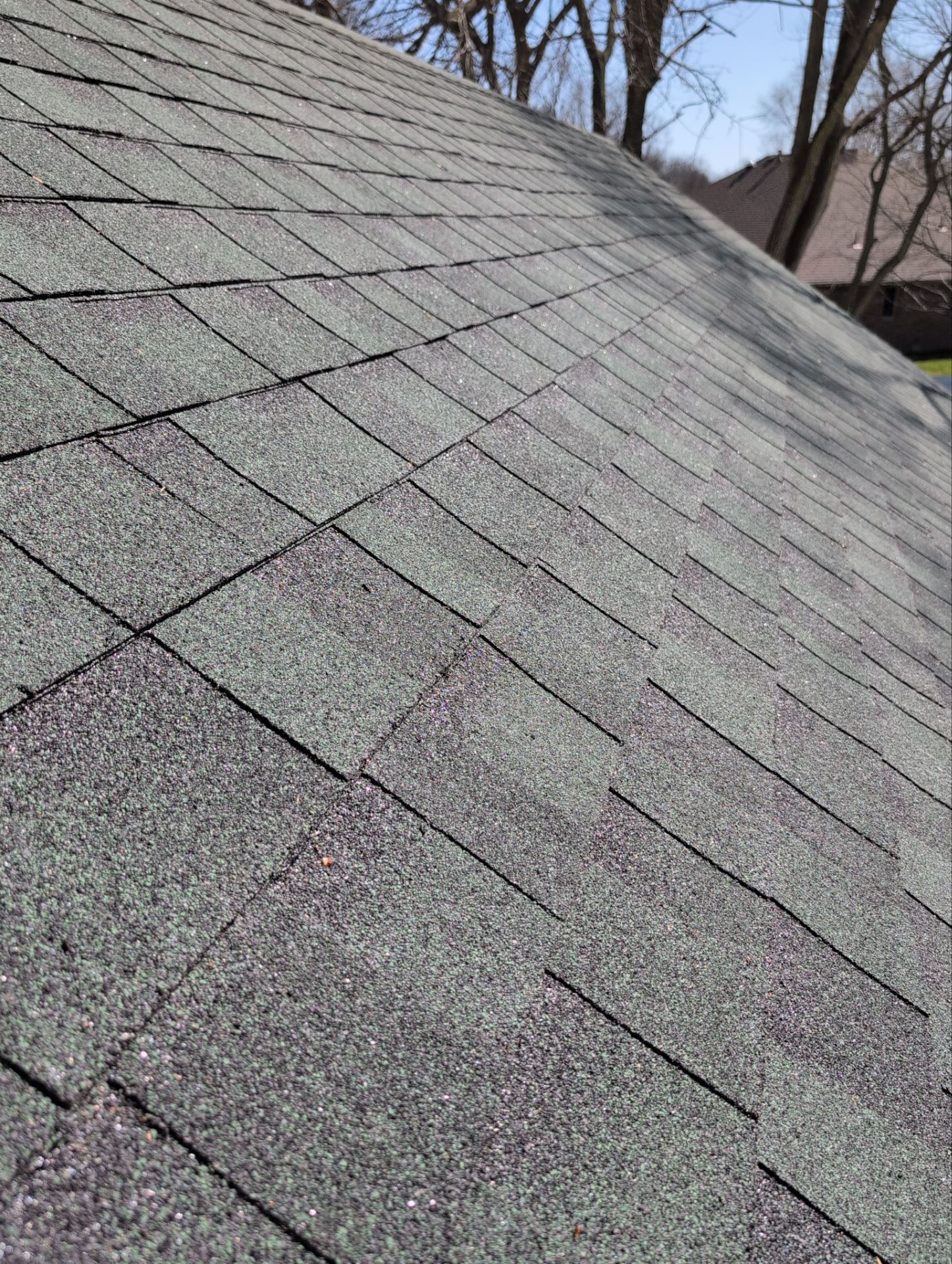 Roof Replacement in Nixa by Table Rock Design + Build