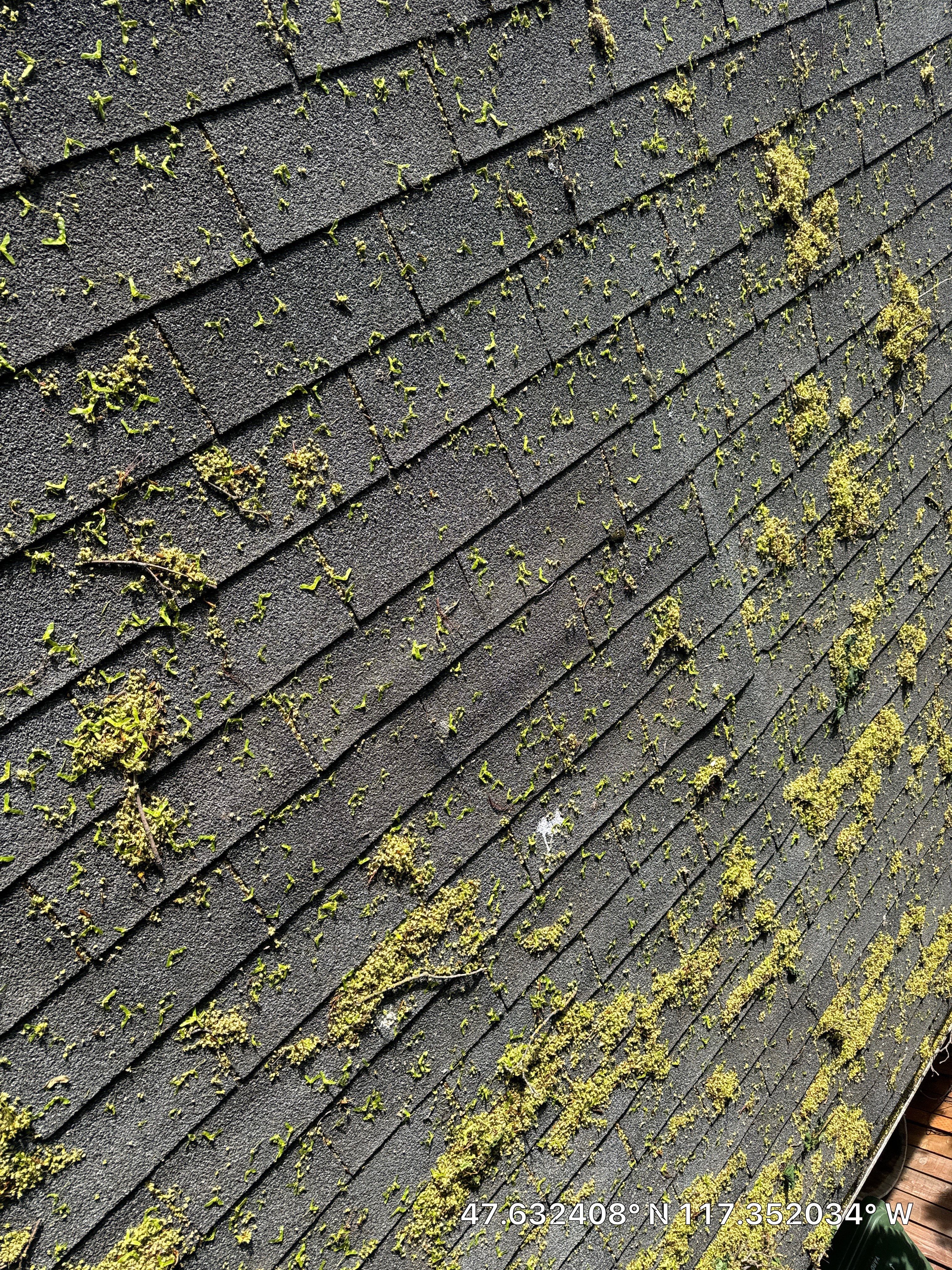 Spokane Residential Roof Replacement with CertainTeed Shingles and Fascia Repair by Alpine Roofing