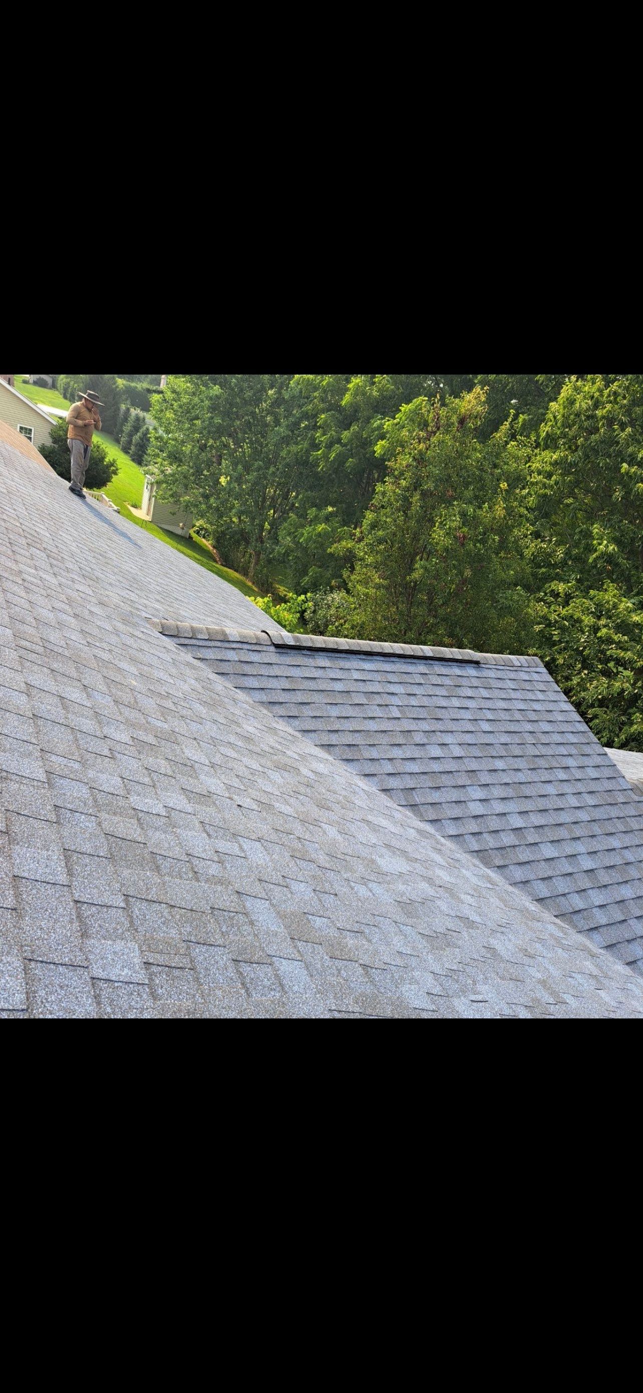 Gloria Dillon by Silver Leaf Contracting 