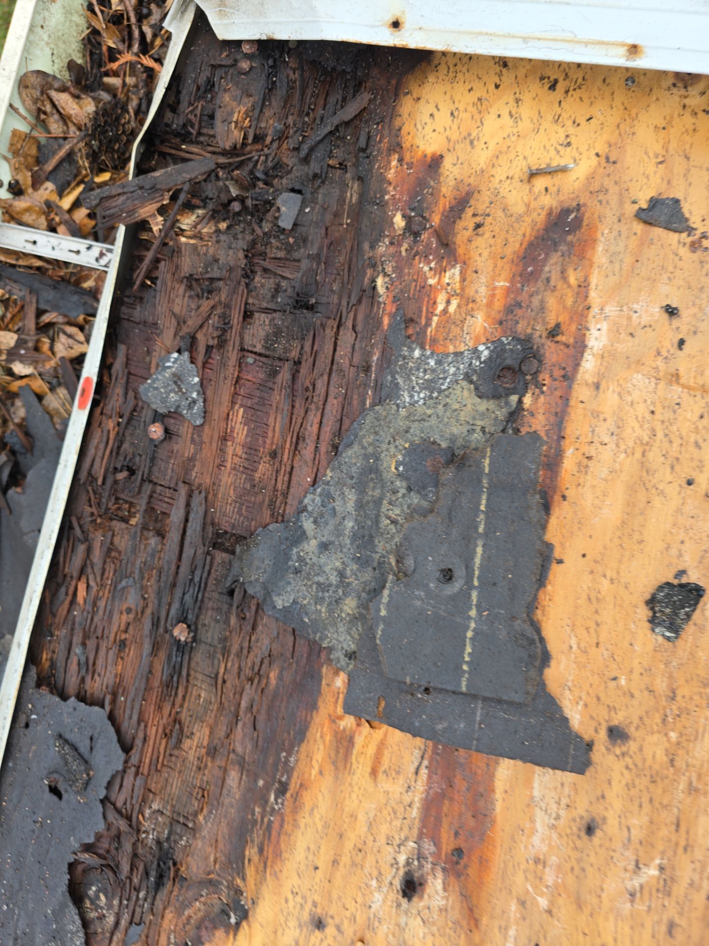 Roof Replacement Webster by Roof Repair Company