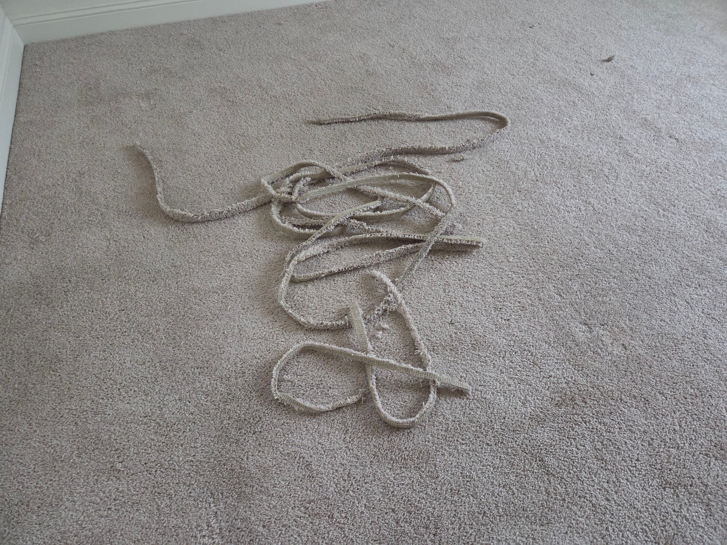 Carpet Re-stretch and Cleaning in EDH by Ardent Carpet Restore LLC