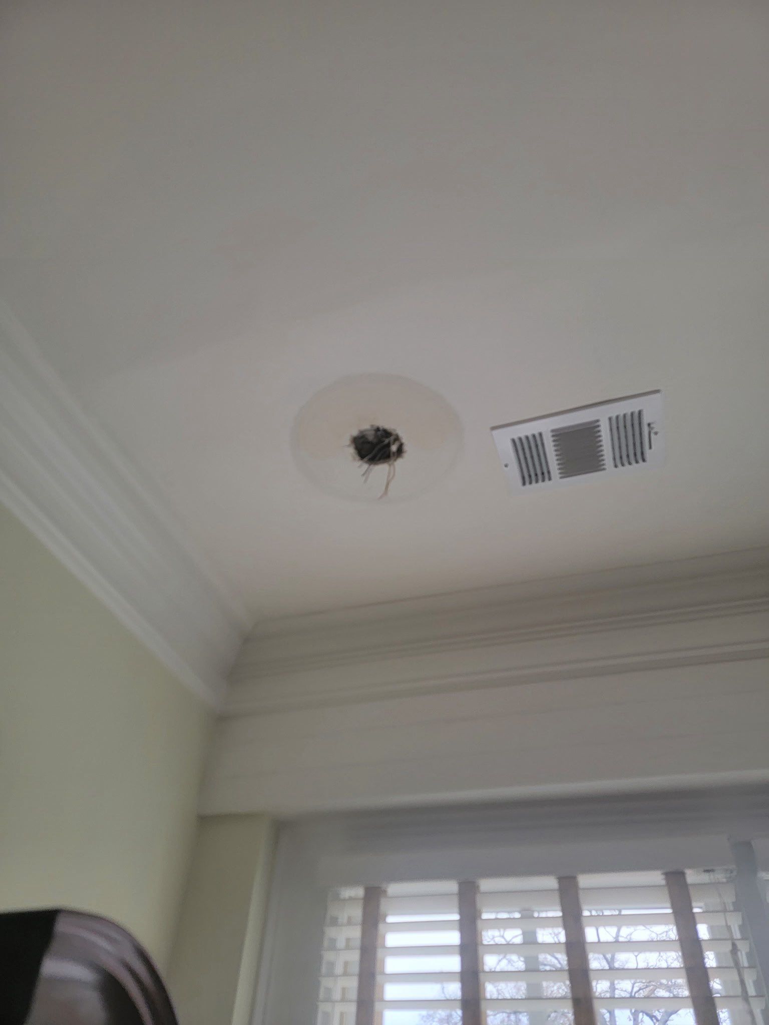 Multi-Room Interior Repairs and Painting by Praise God Painting, LLC