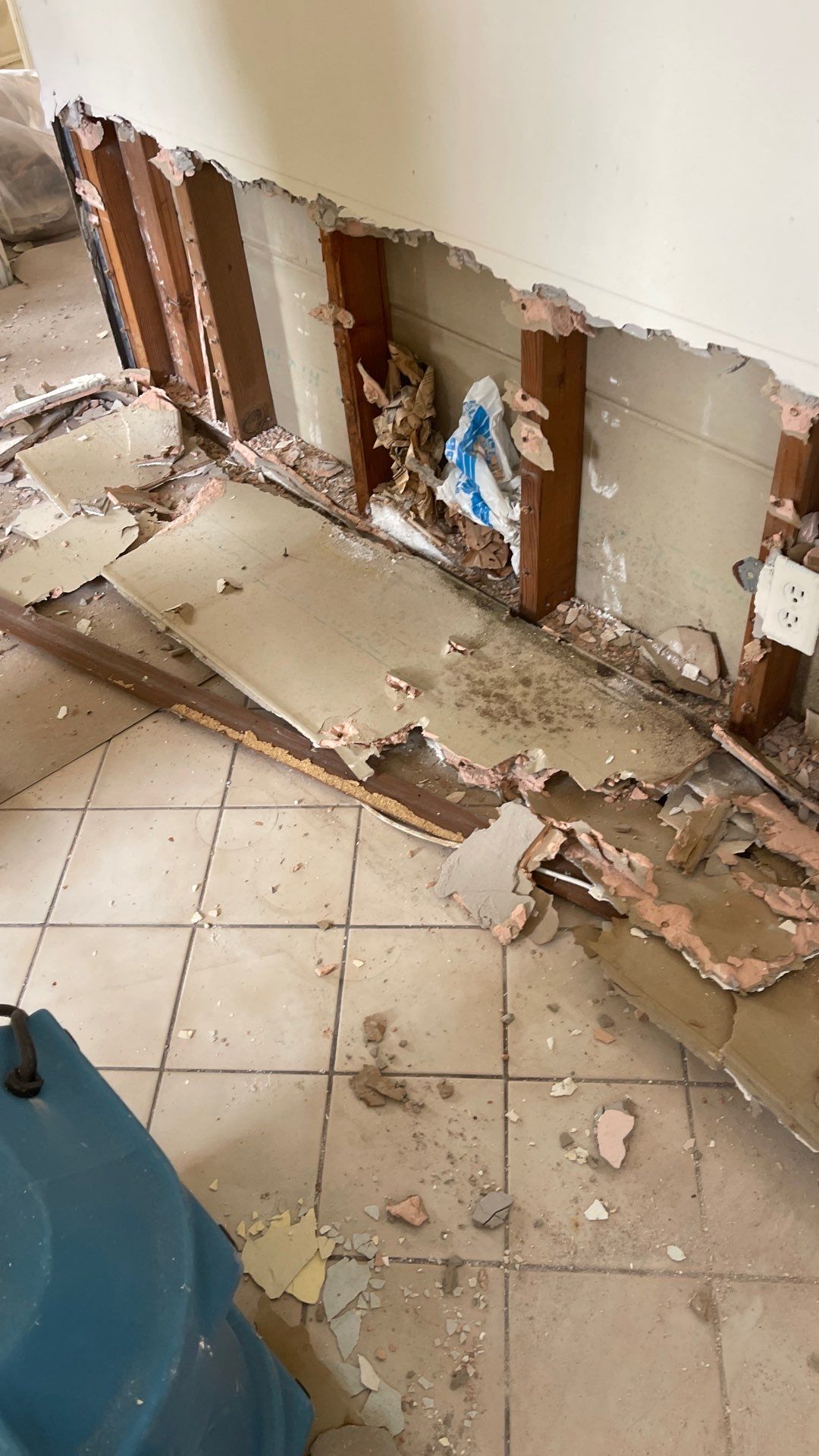 Mold Remediation  by THE RAPID TEAM