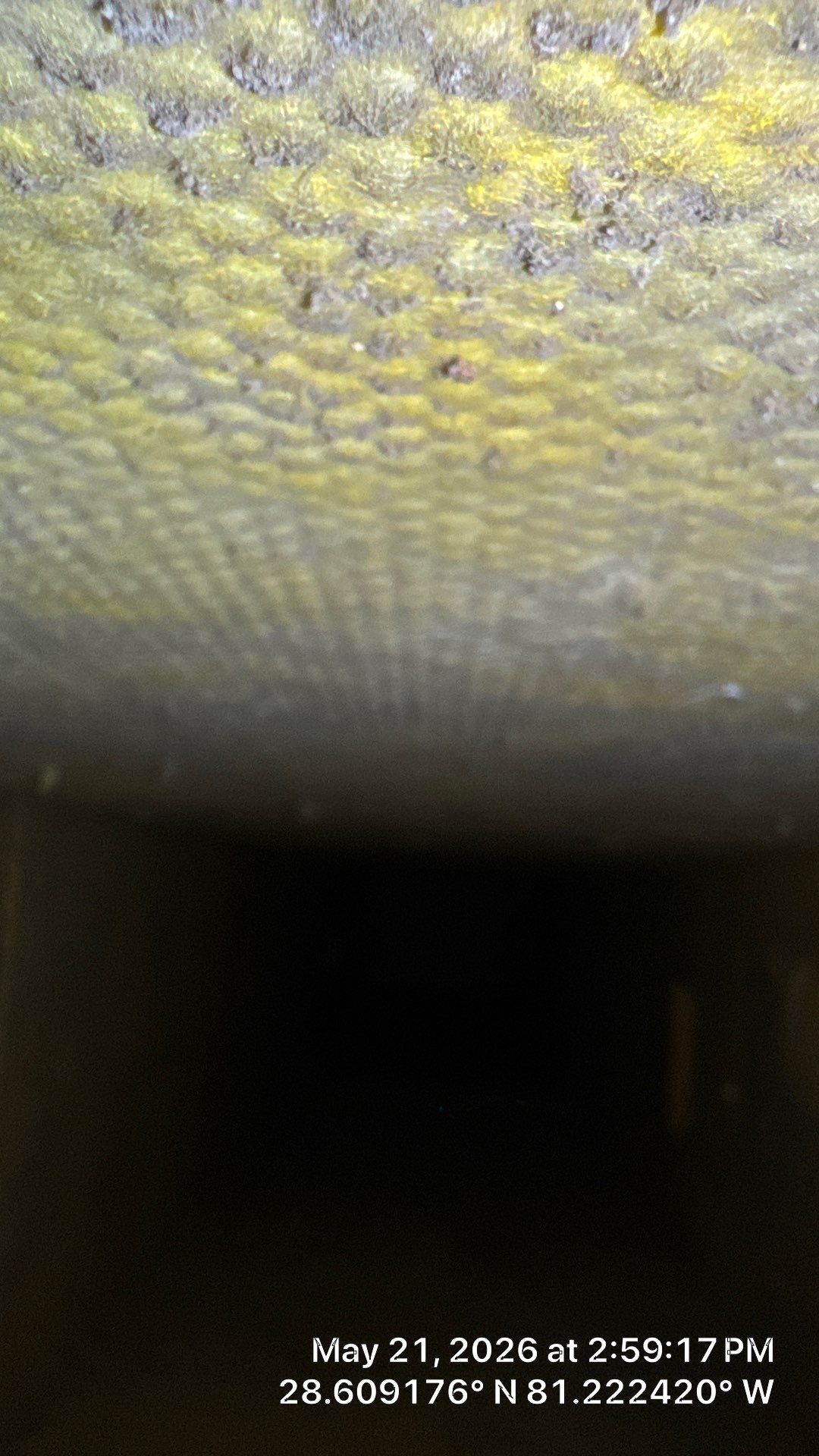 Air Duct Cleaning in Orlando by Hygienic Air, Inc
