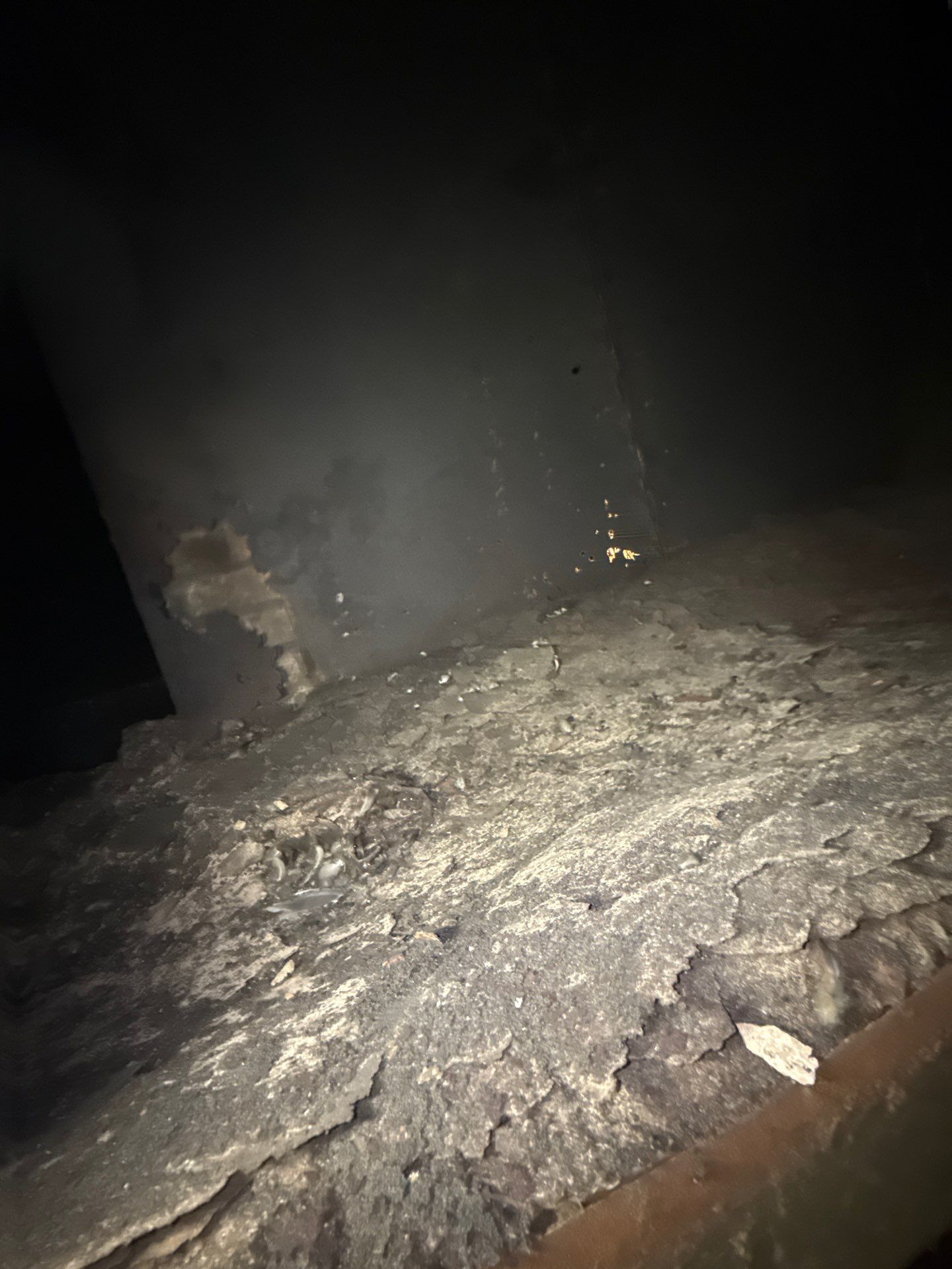 Boiler Cleaning & Flue Rebuild by Thermacore