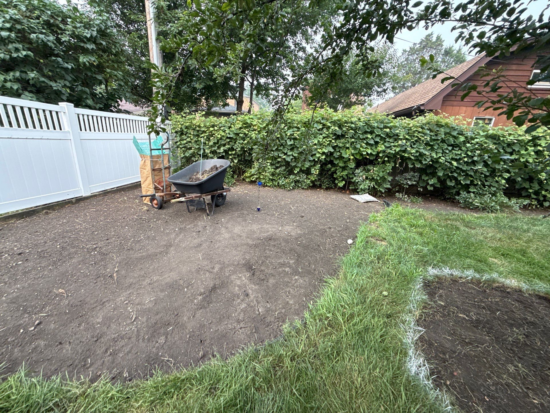 Donna L. - Arlington Heights, IL by A&N