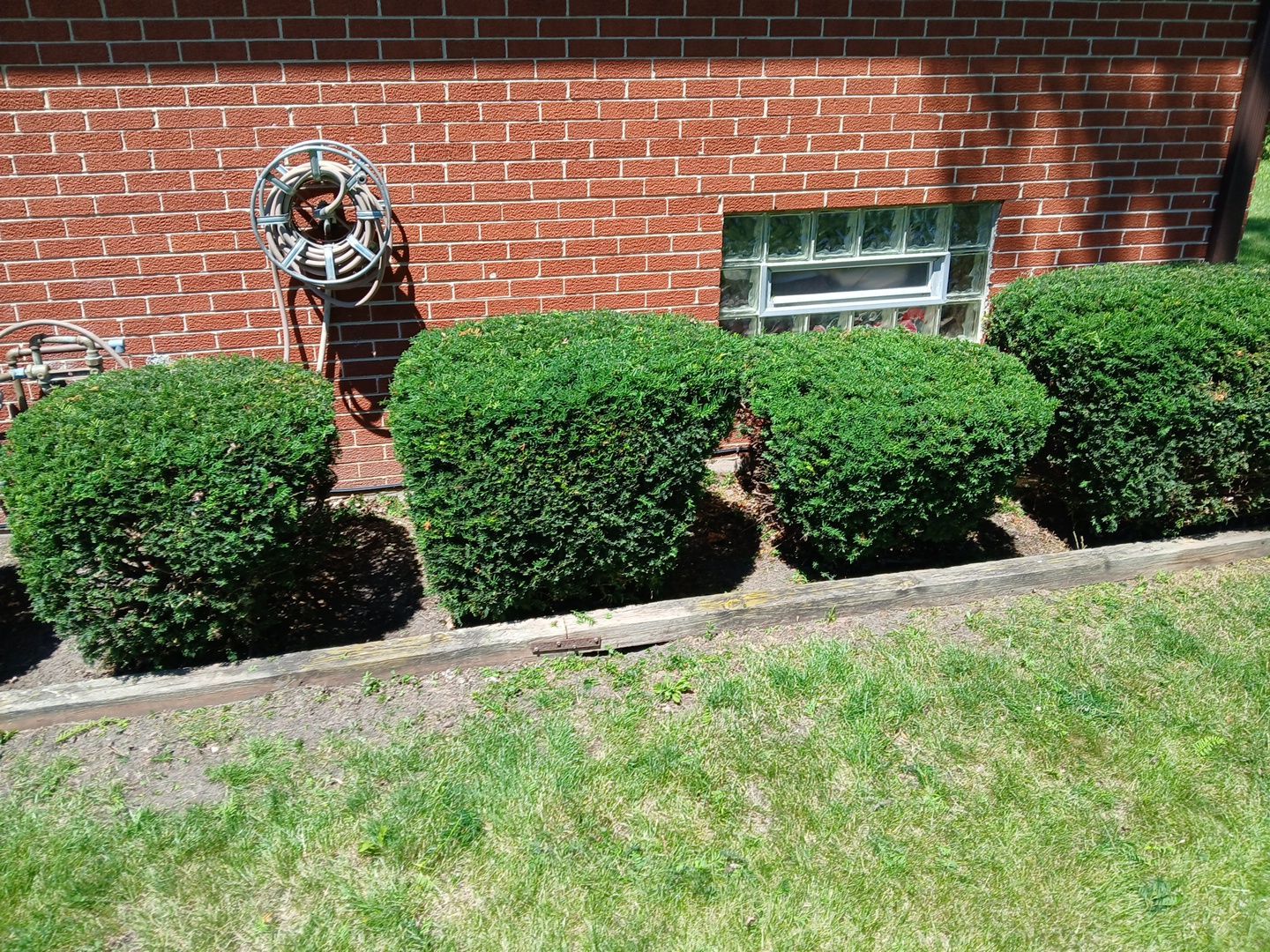 Martha C. - Mount Prospect, IL by A&N 