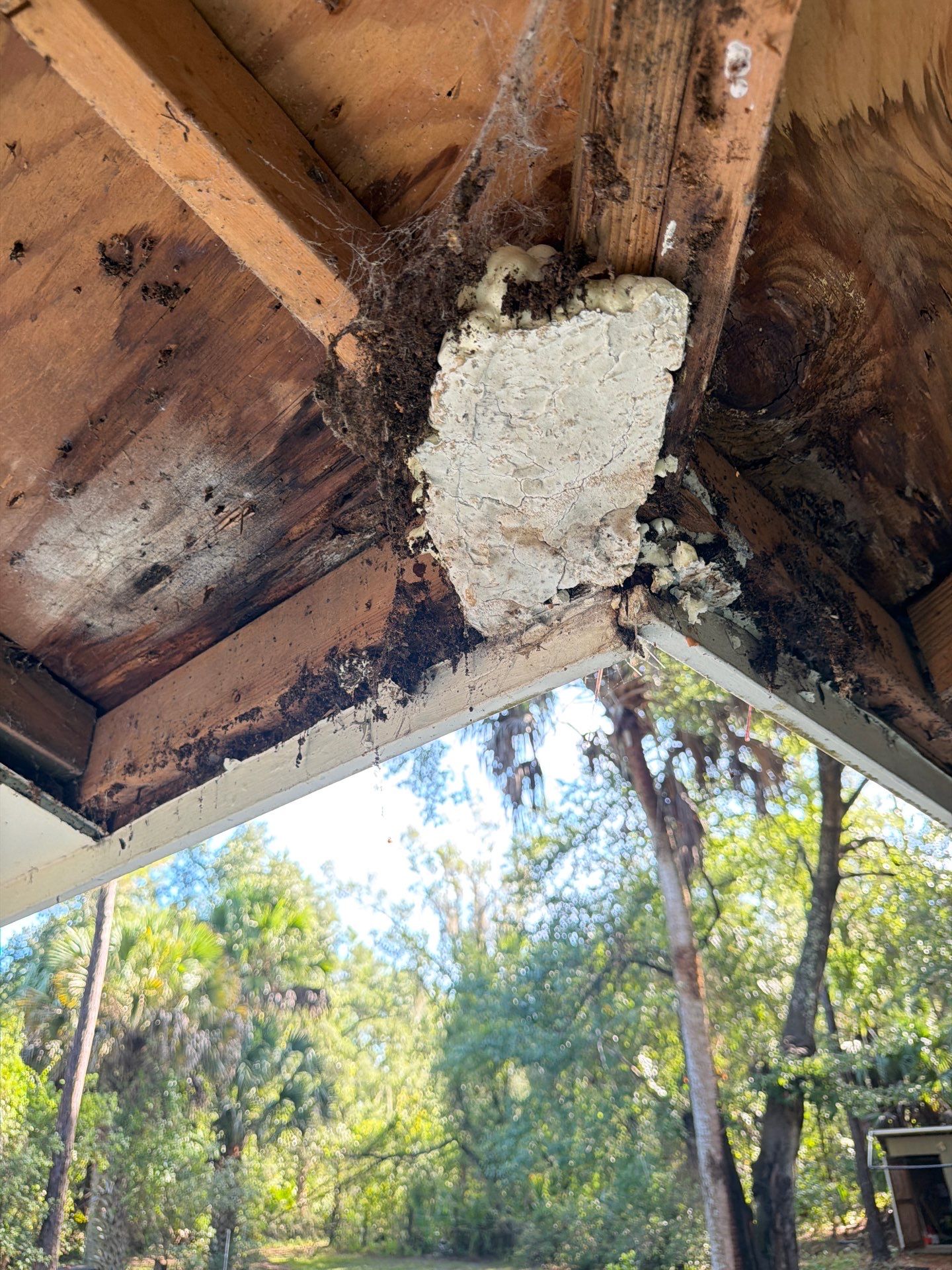 Sorrento Residential Fascia Repair and Soffit Wood Rot Restoration by Fortified Roofing Solutions Corp.