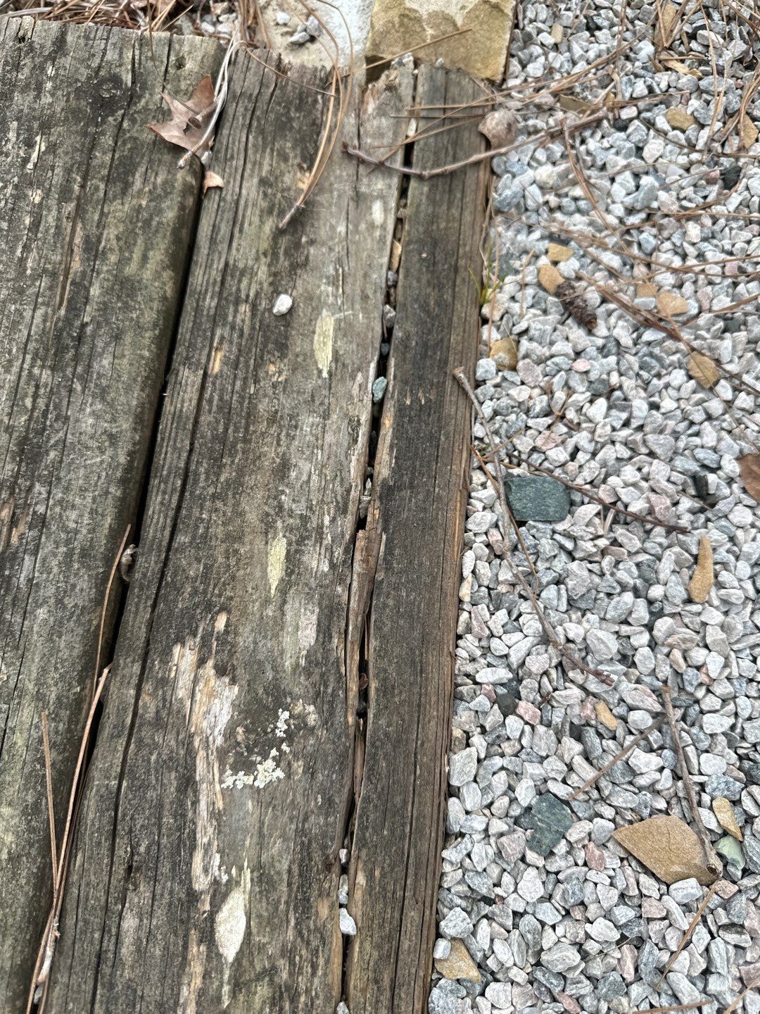 Dock using Wood Sealant by DuraSeal