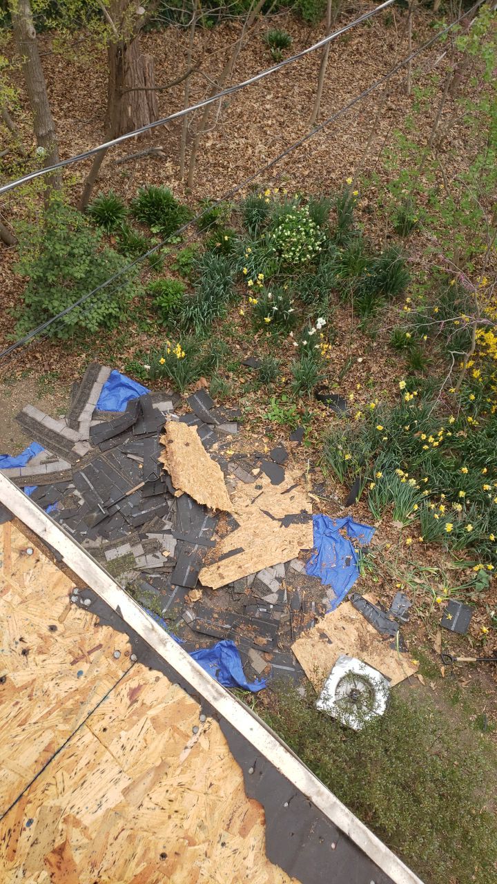 Arlington: CertainTeed Landmark Pro Designer Shingles in Max Def Georgetown Gray by RM Banning, Inc.