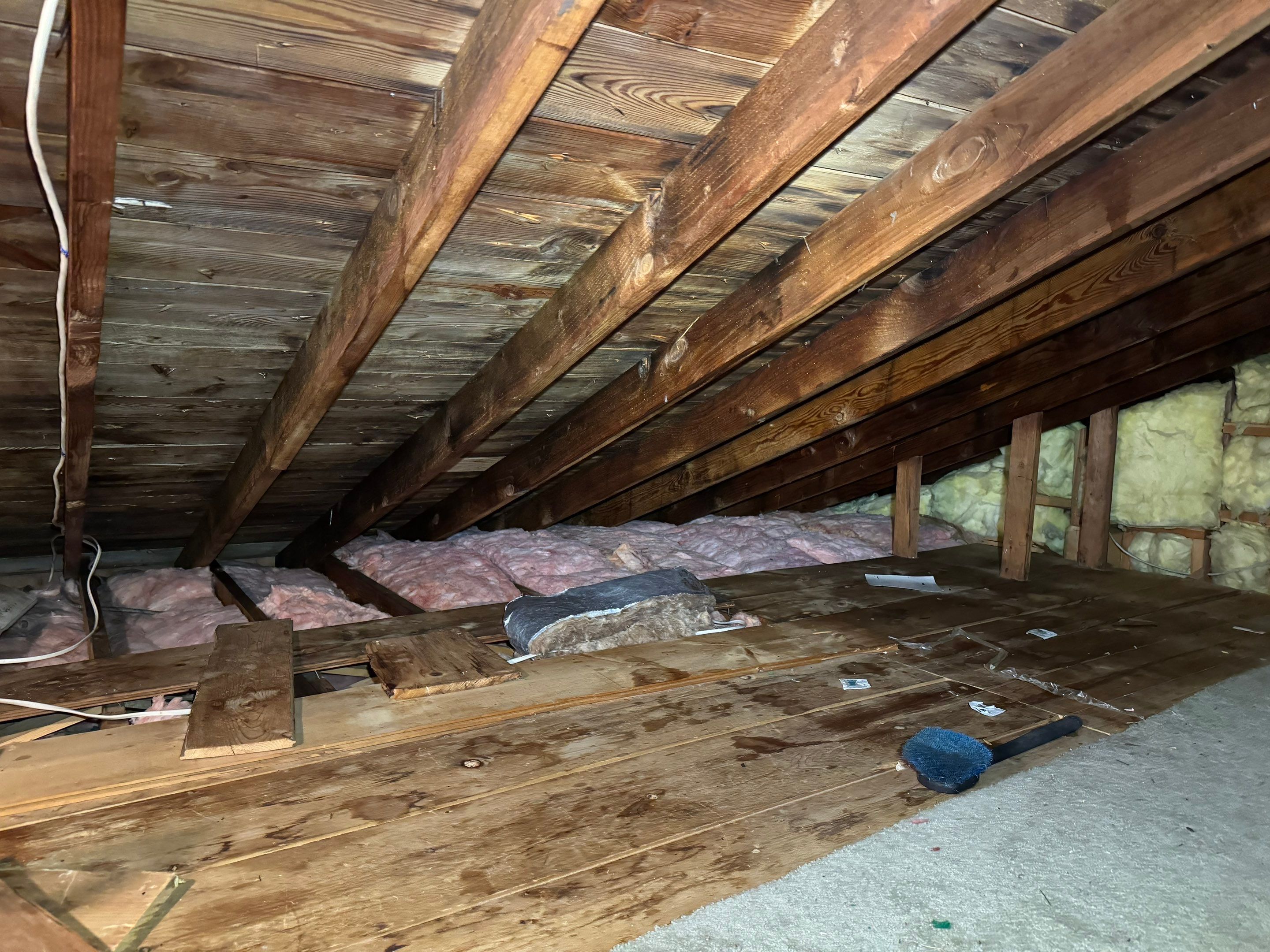 Attic & Sunroom Mold Remediation by Home Guarantee, LLC