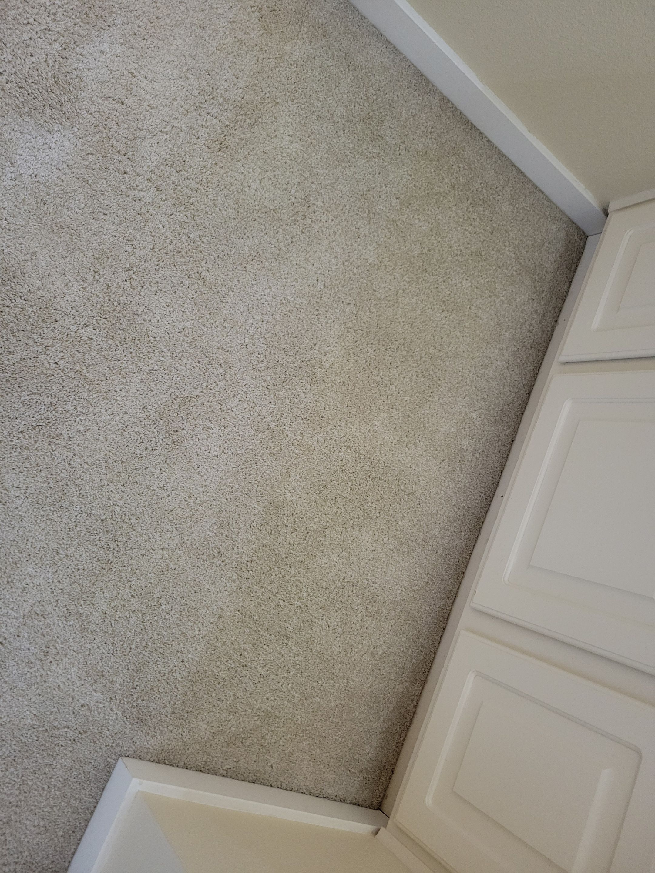 Investment Property, Carpet Cleaning by Ardent Carpet Restore LLC