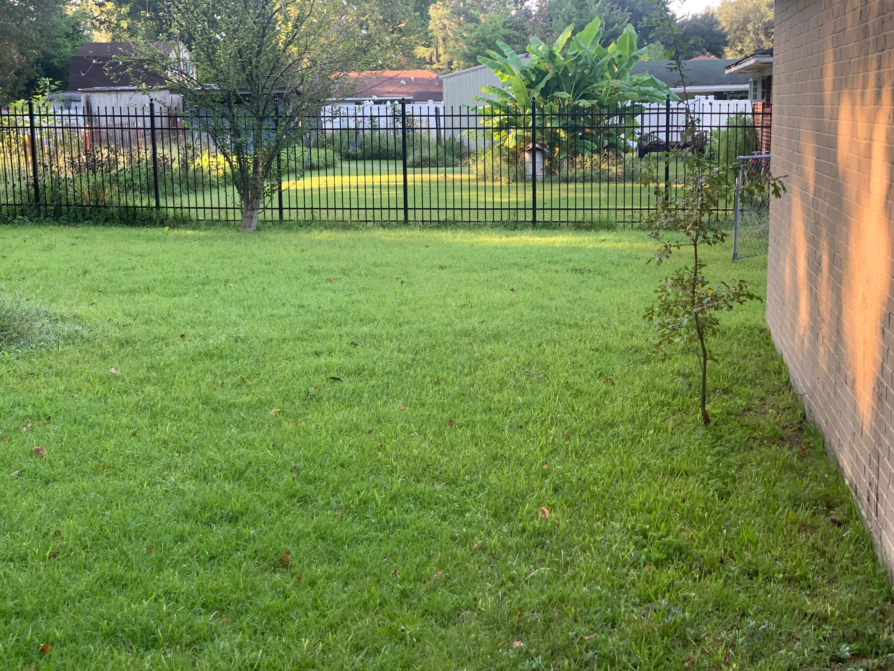 Yard Makeover by College Bros Outdoor services