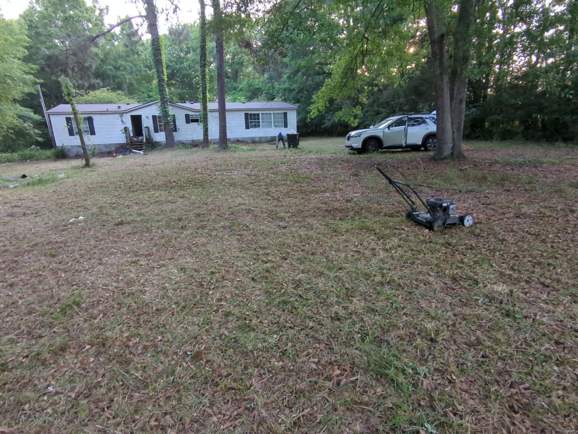 Exterior Clearing - tree trimming - grass cut by Swift Signings and Services LLC