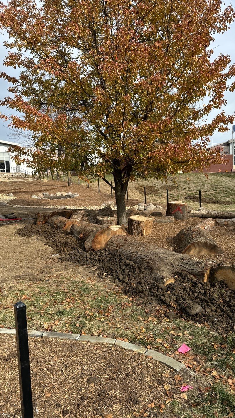 A Natural Playground for Child Development by New Horizon Landscapes