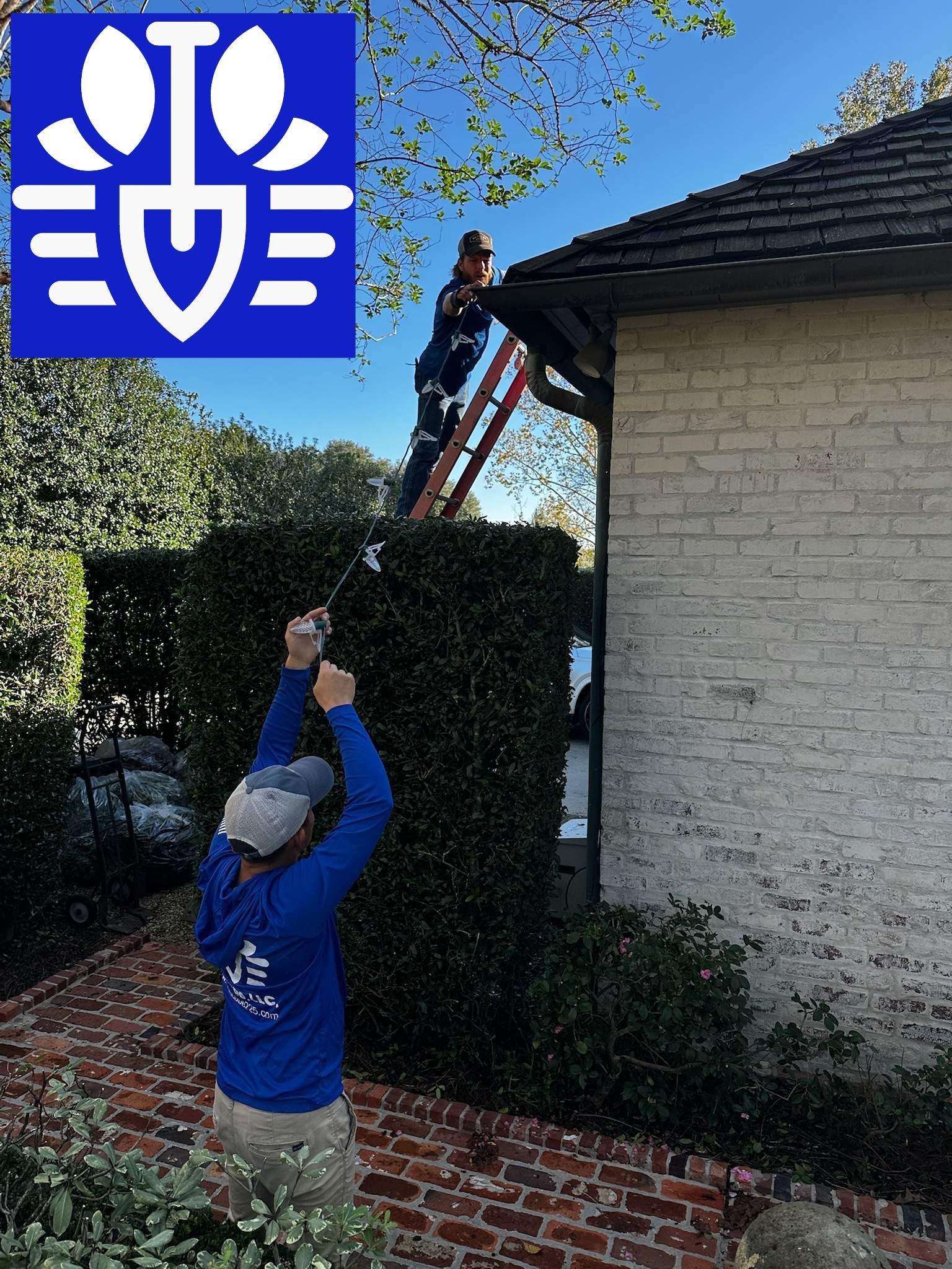 HOLIDAY LIGHTING C9 LED LIGHTING: ROOFLINE & LANDSCAPE by CutScape, LLC.